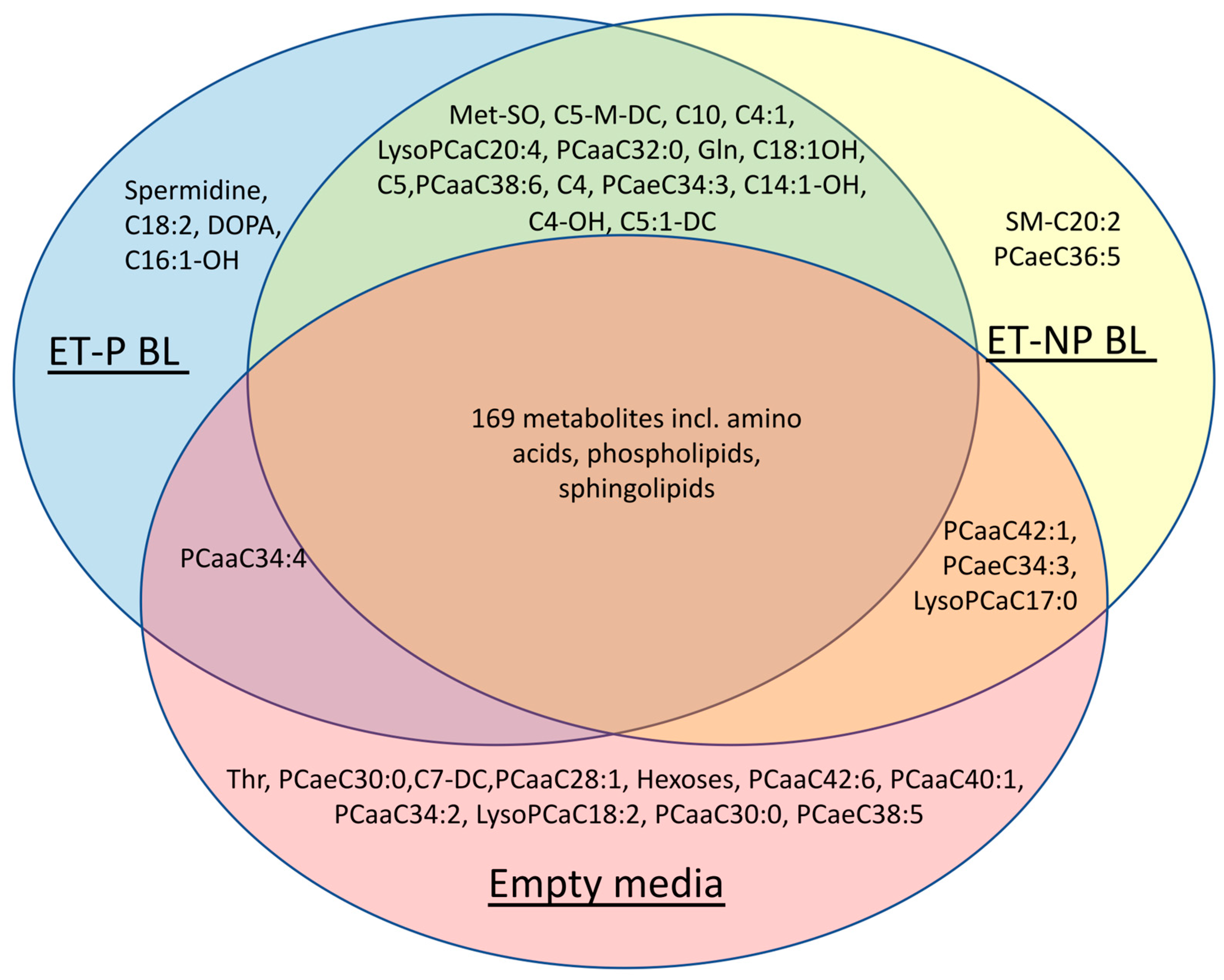 Preprints 94795 g001