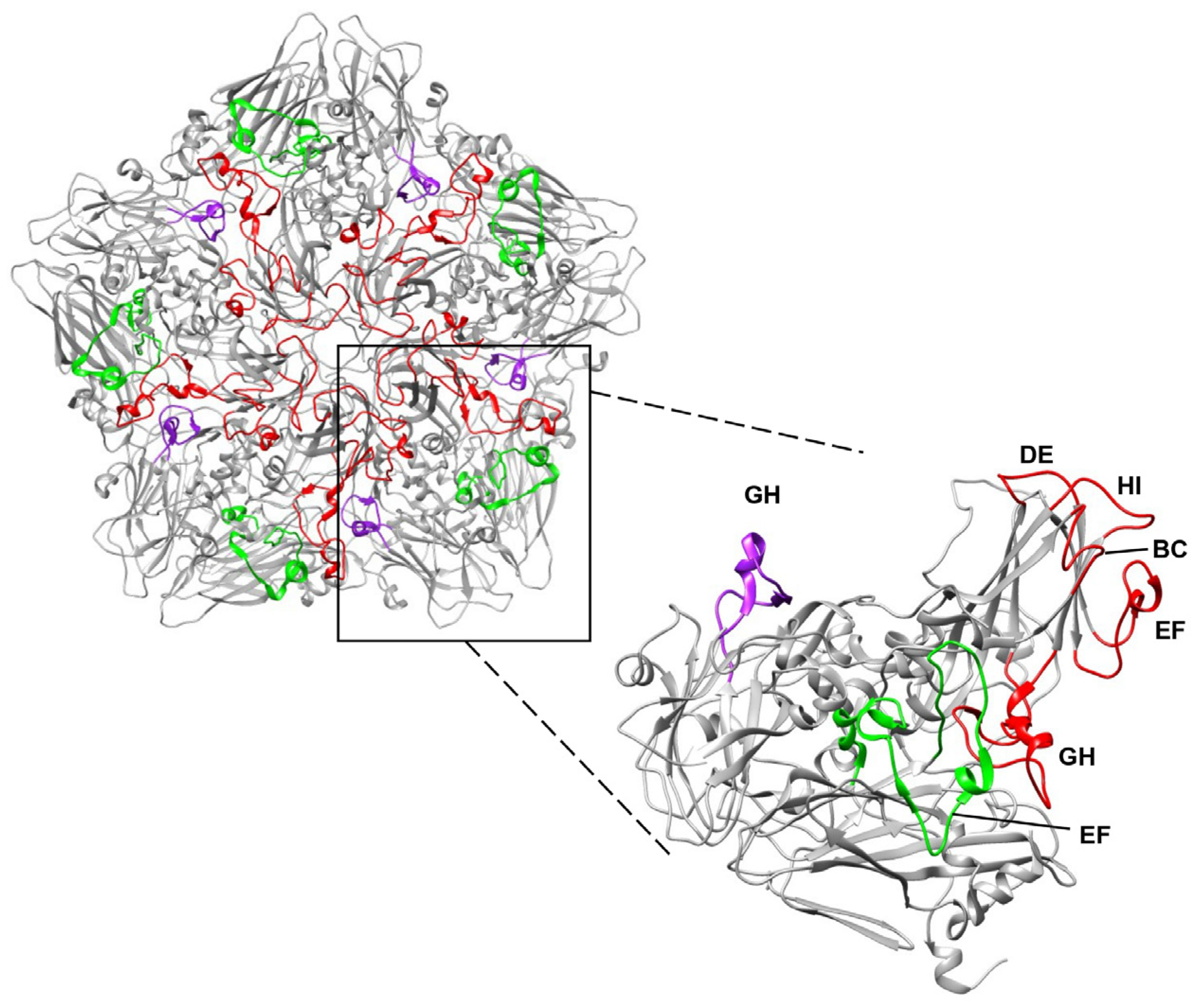 Preprints 79275 g001