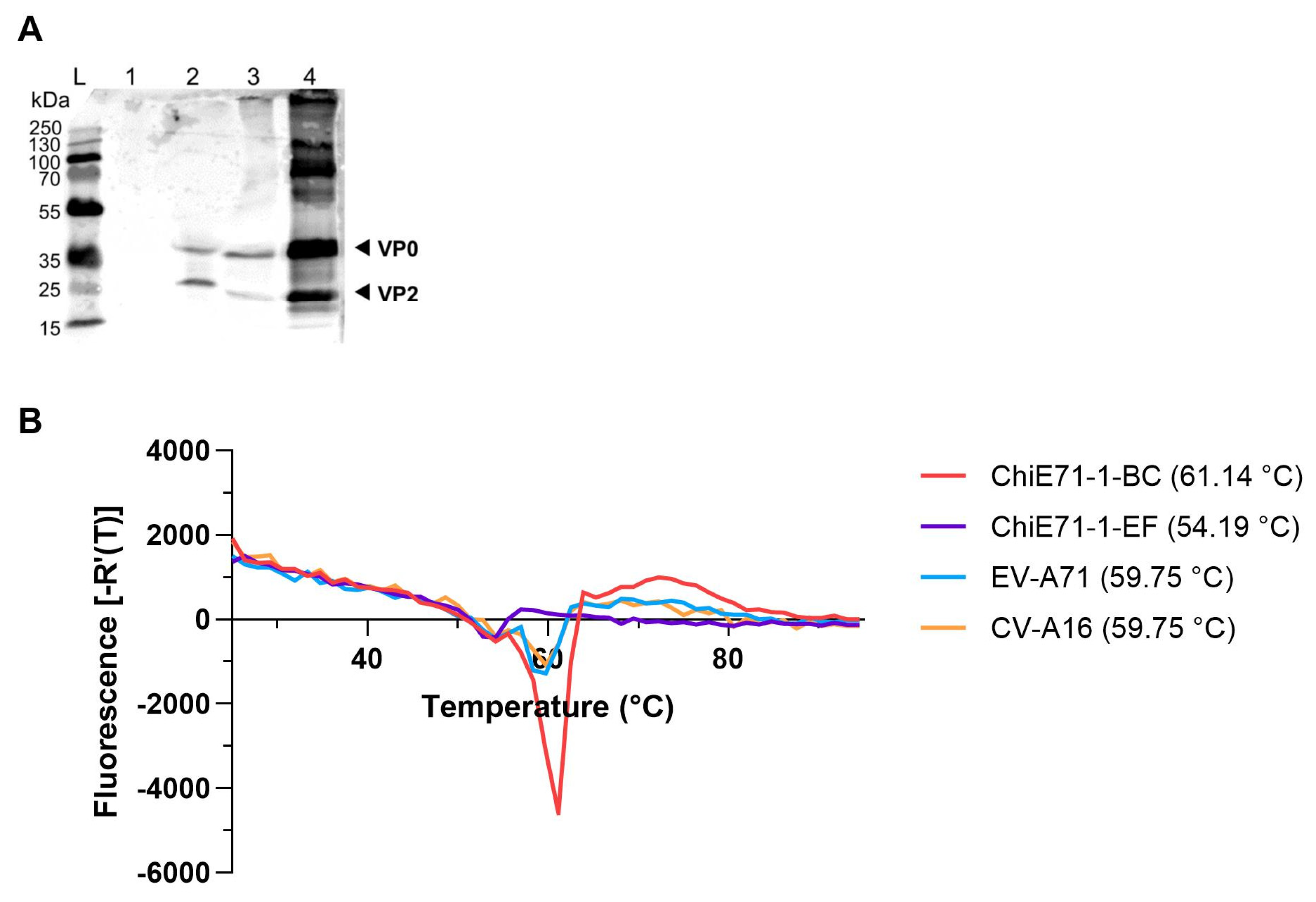 Preprints 79275 g005