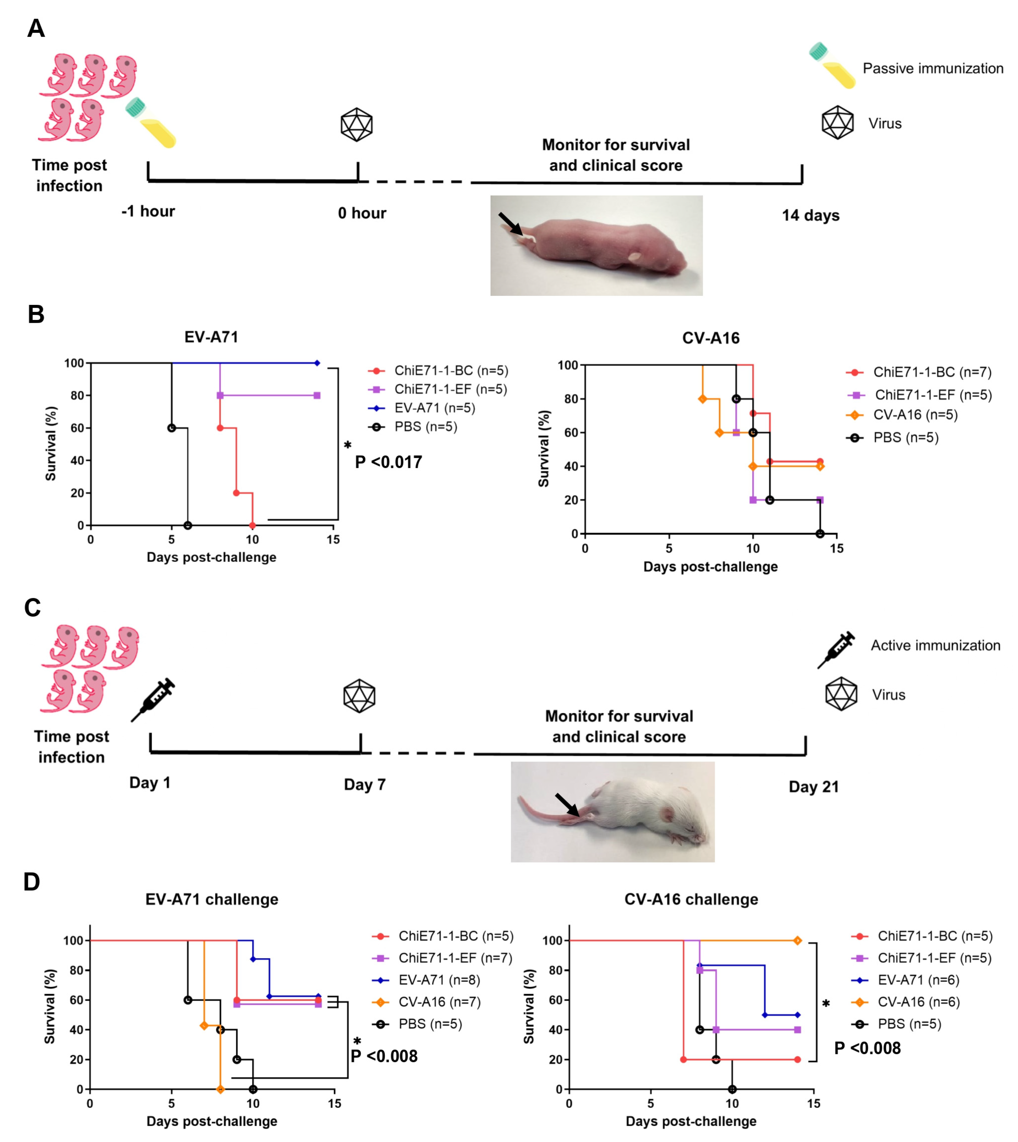 Preprints 79275 g007