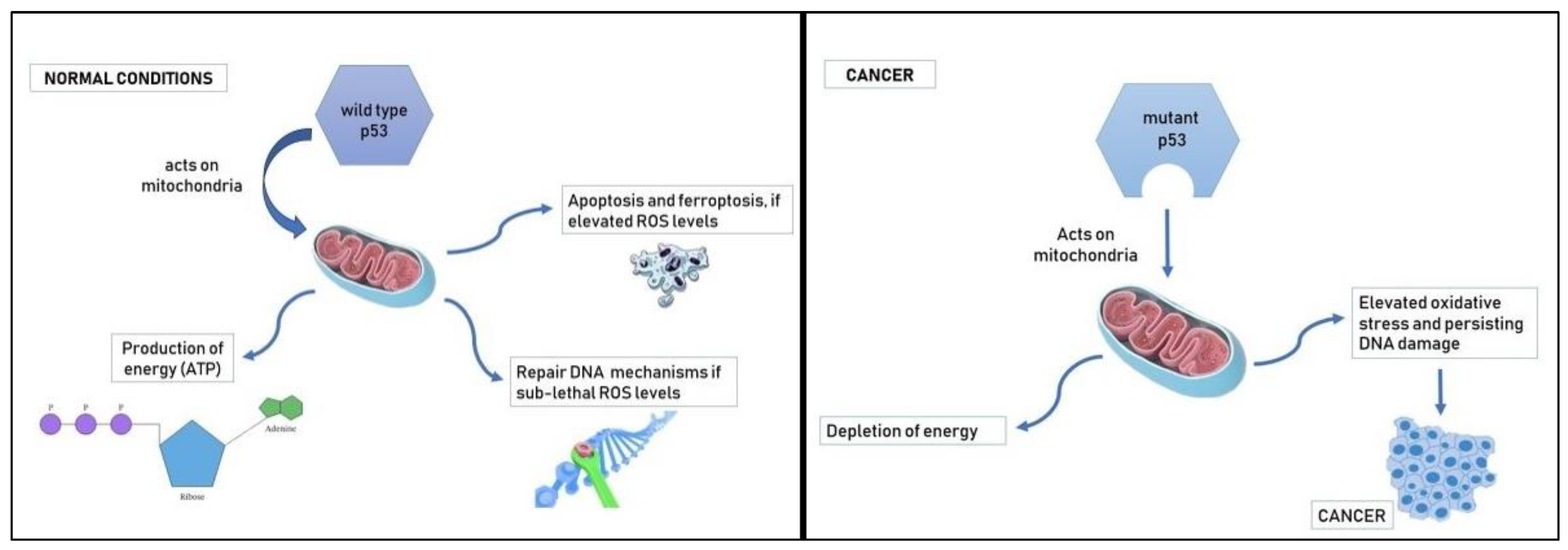 Preprints 73171 g002