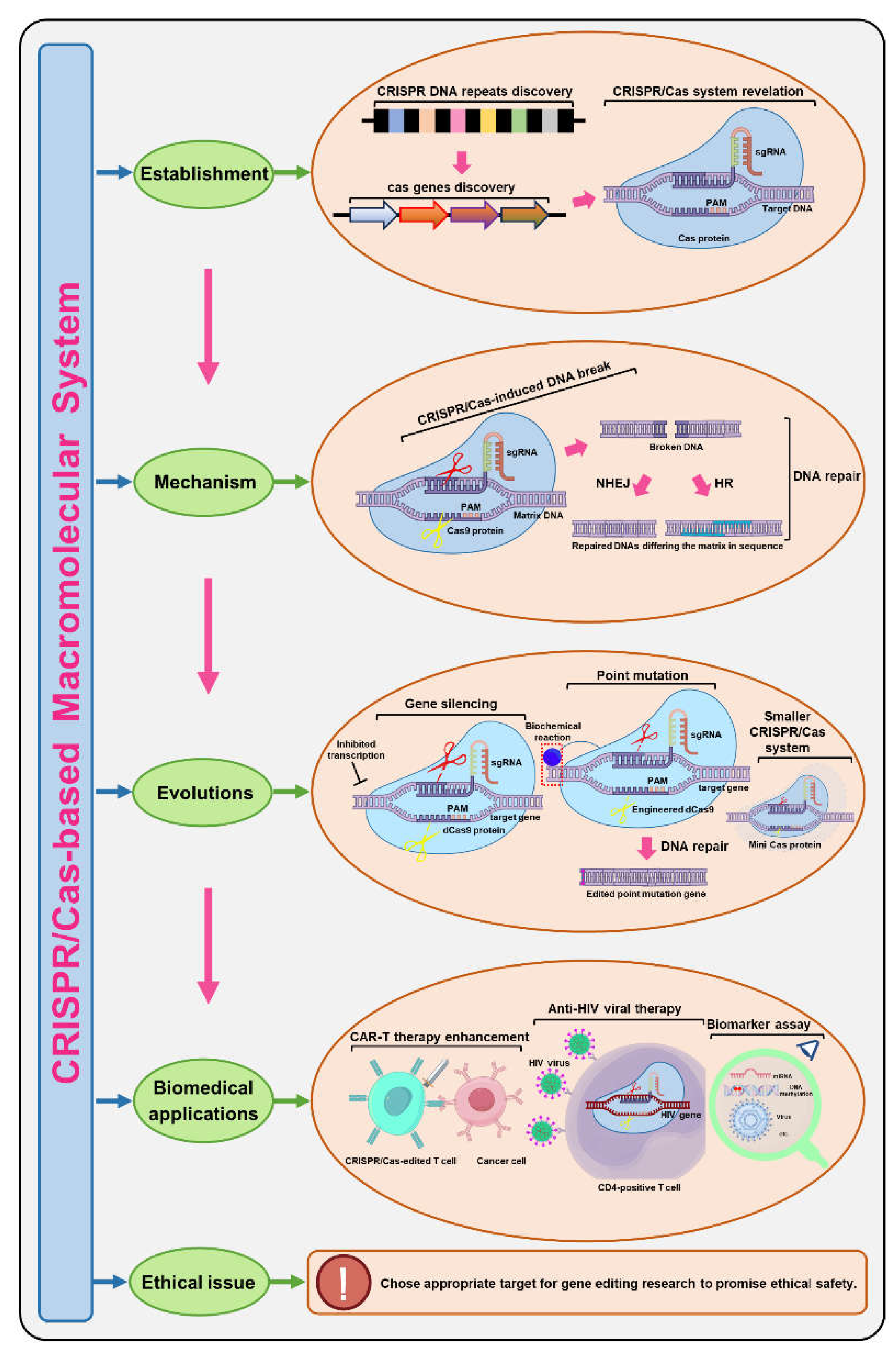 Preprints 116073 sch001