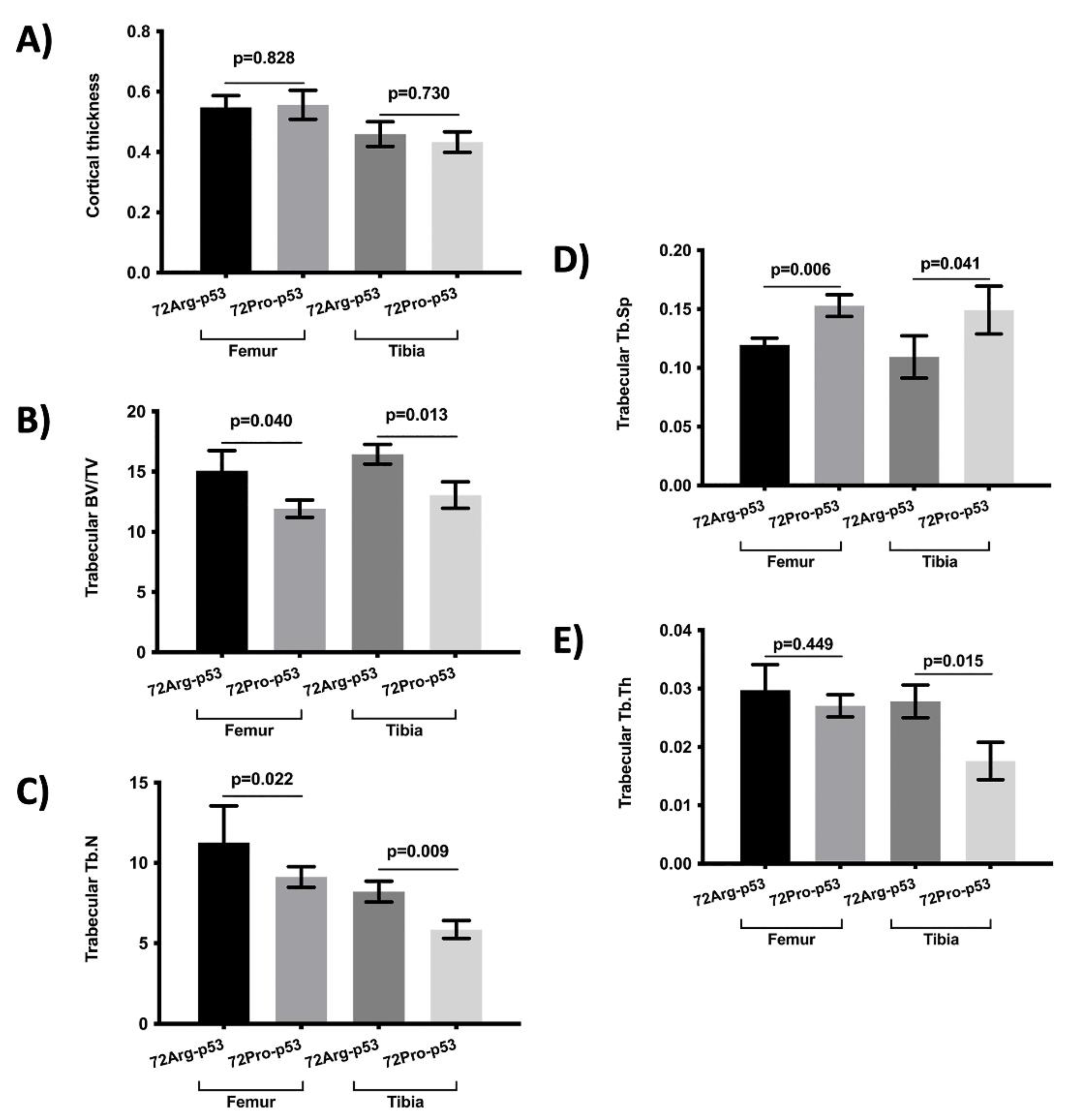 Preprints 87340 g001