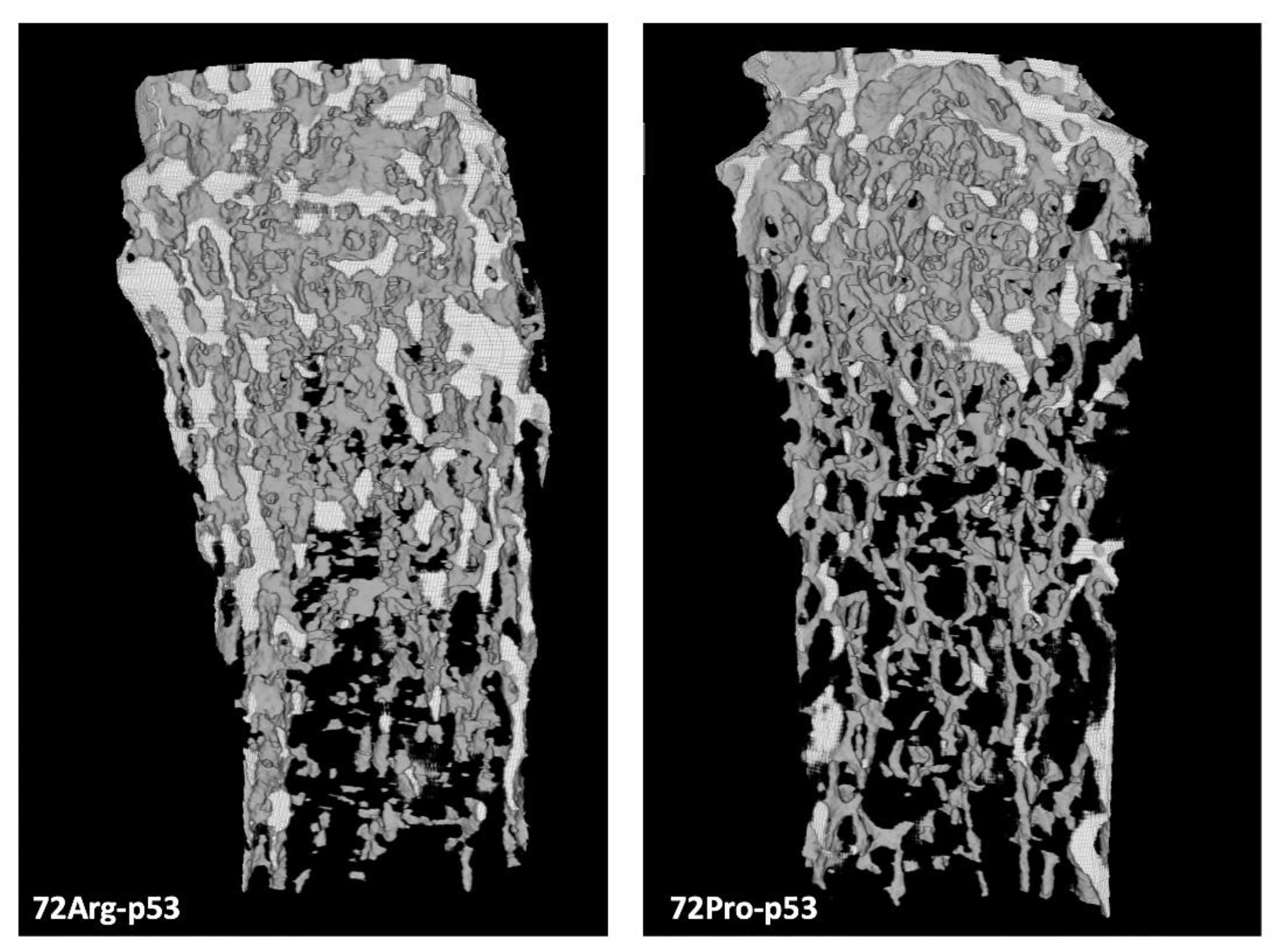 Preprints 87340 g002