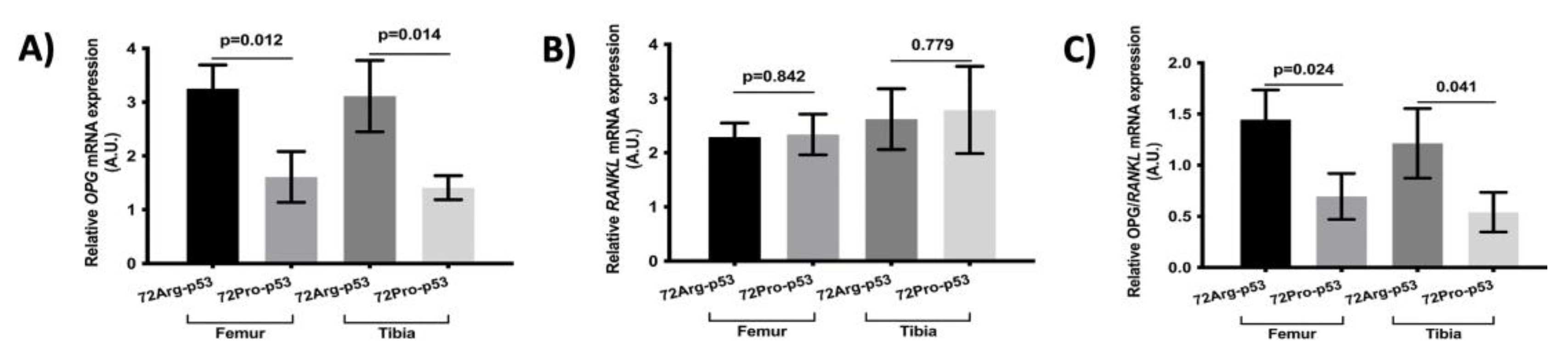 Preprints 87340 g003