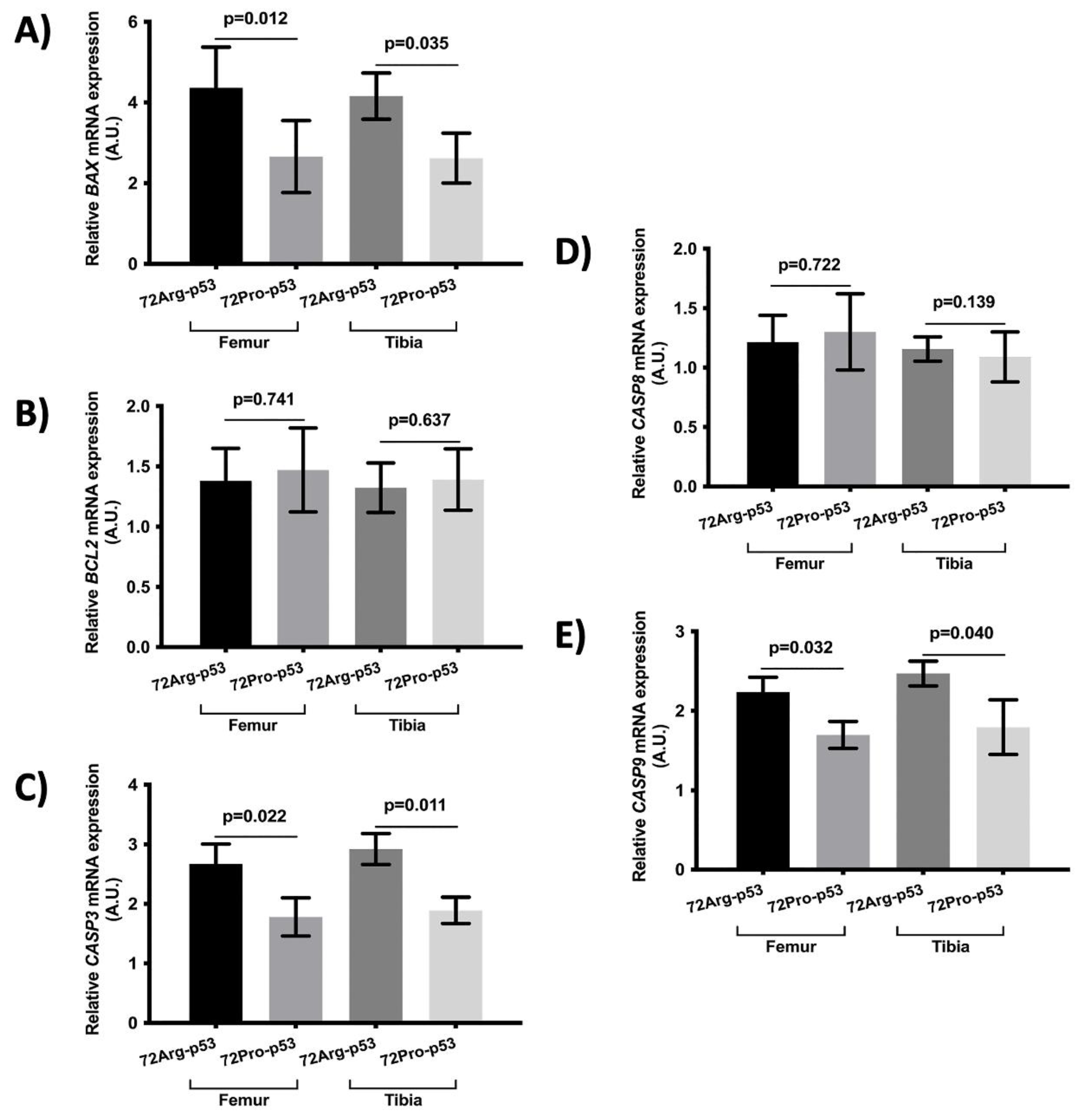 Preprints 87340 g004