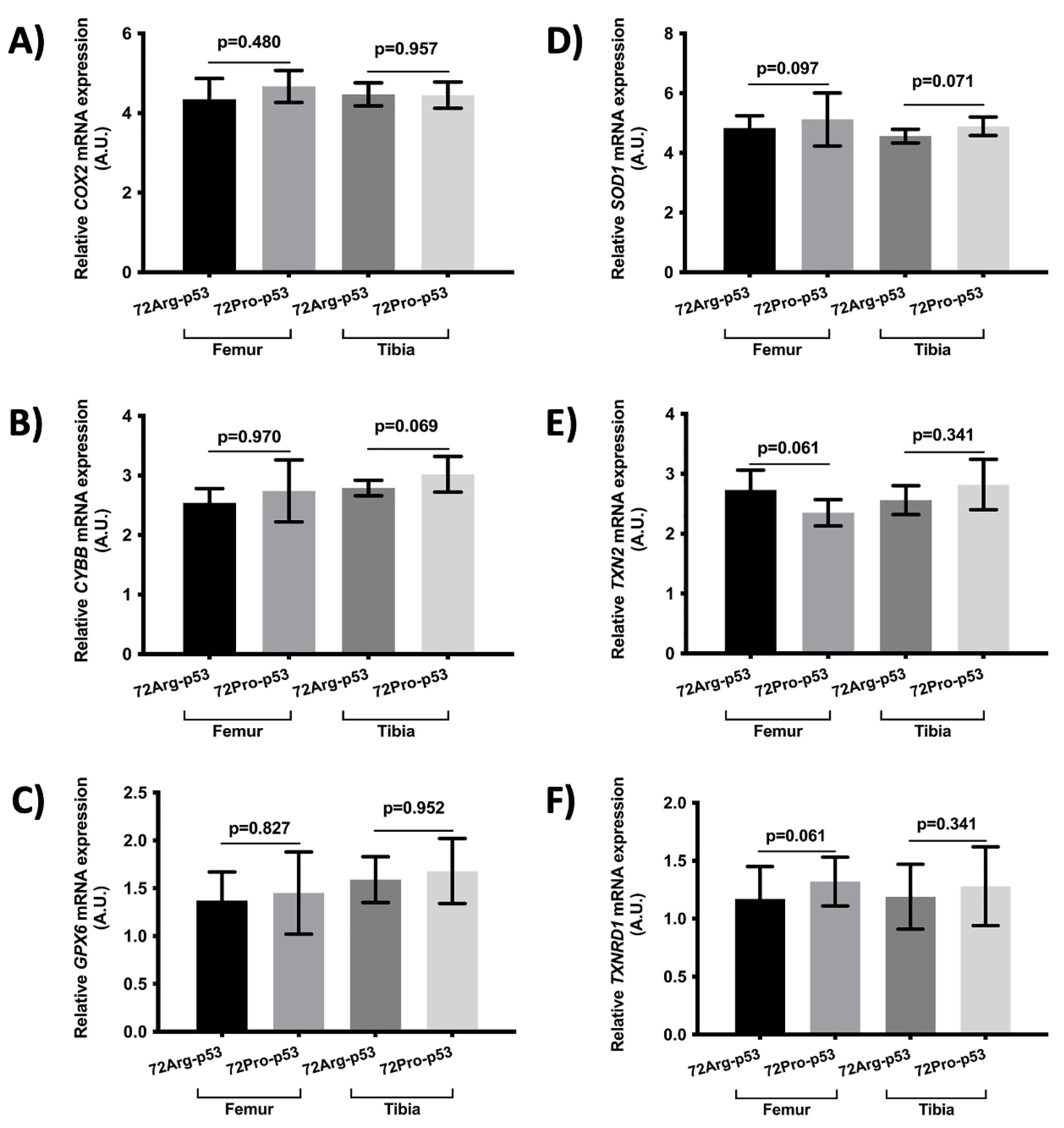 Preprints 87340 g006