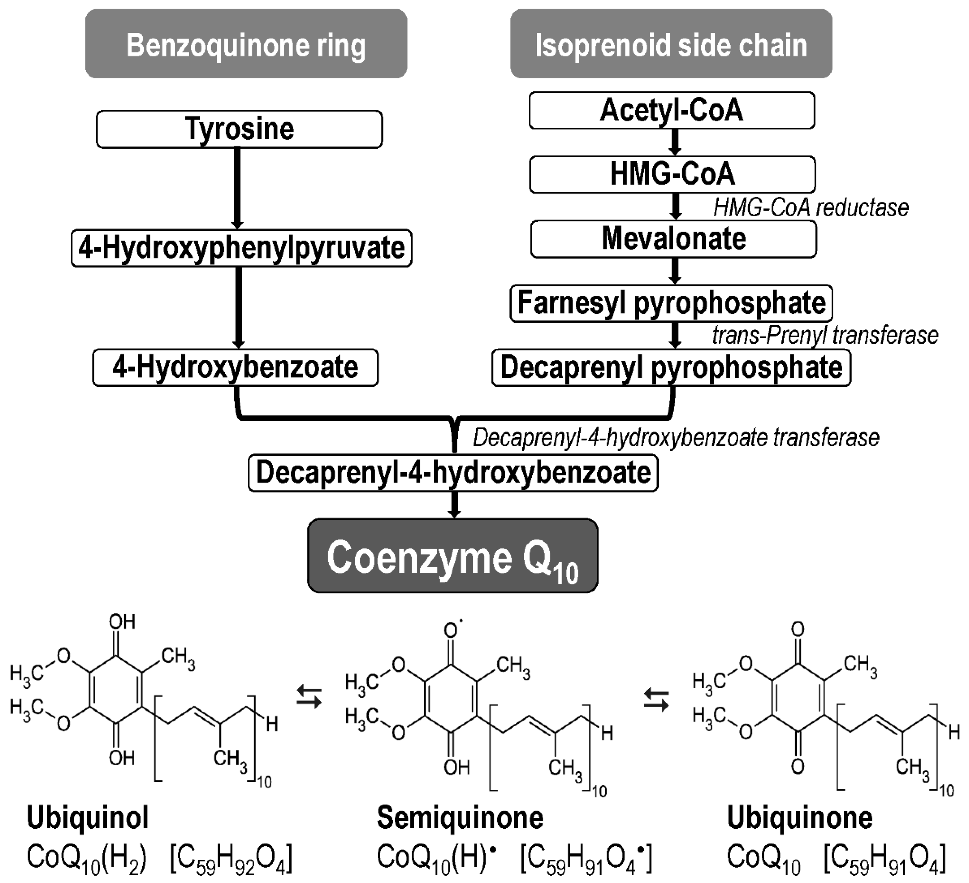 Preprints 95350 g002