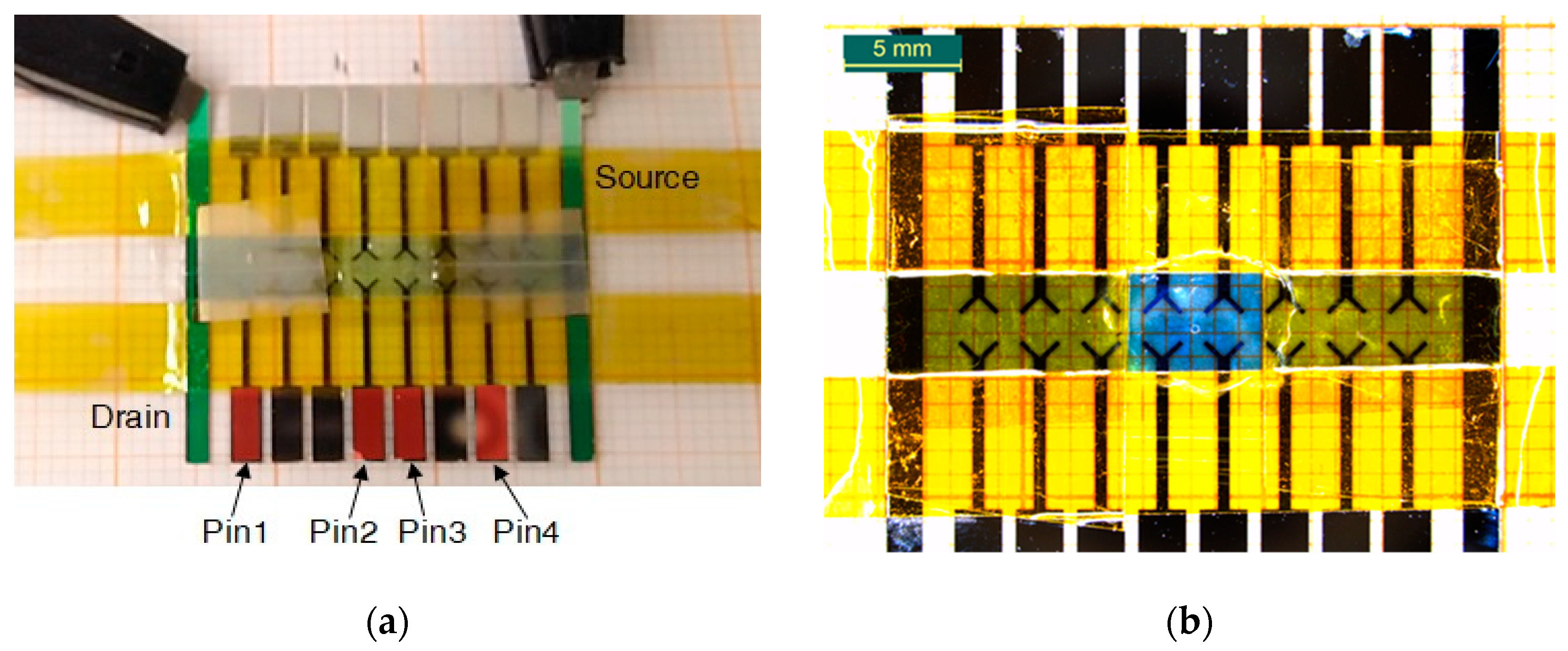 Preprints 73082 g004