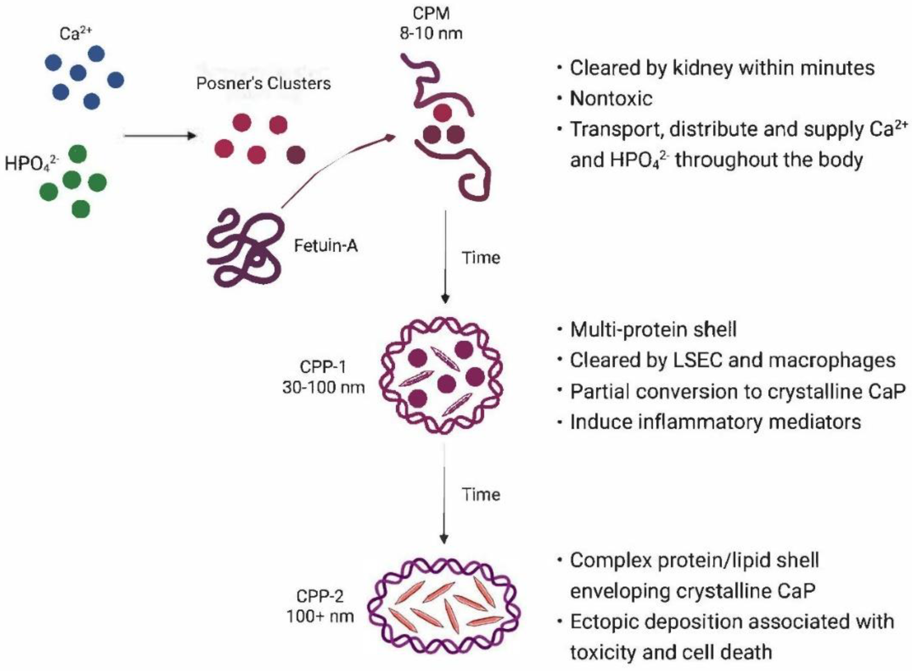 Preprints 75561 g001