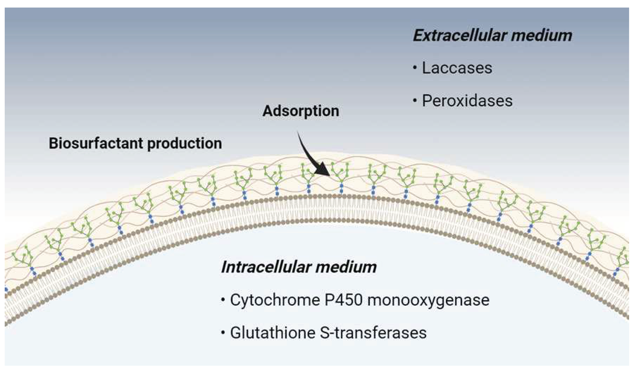 Preprints 98655 g009