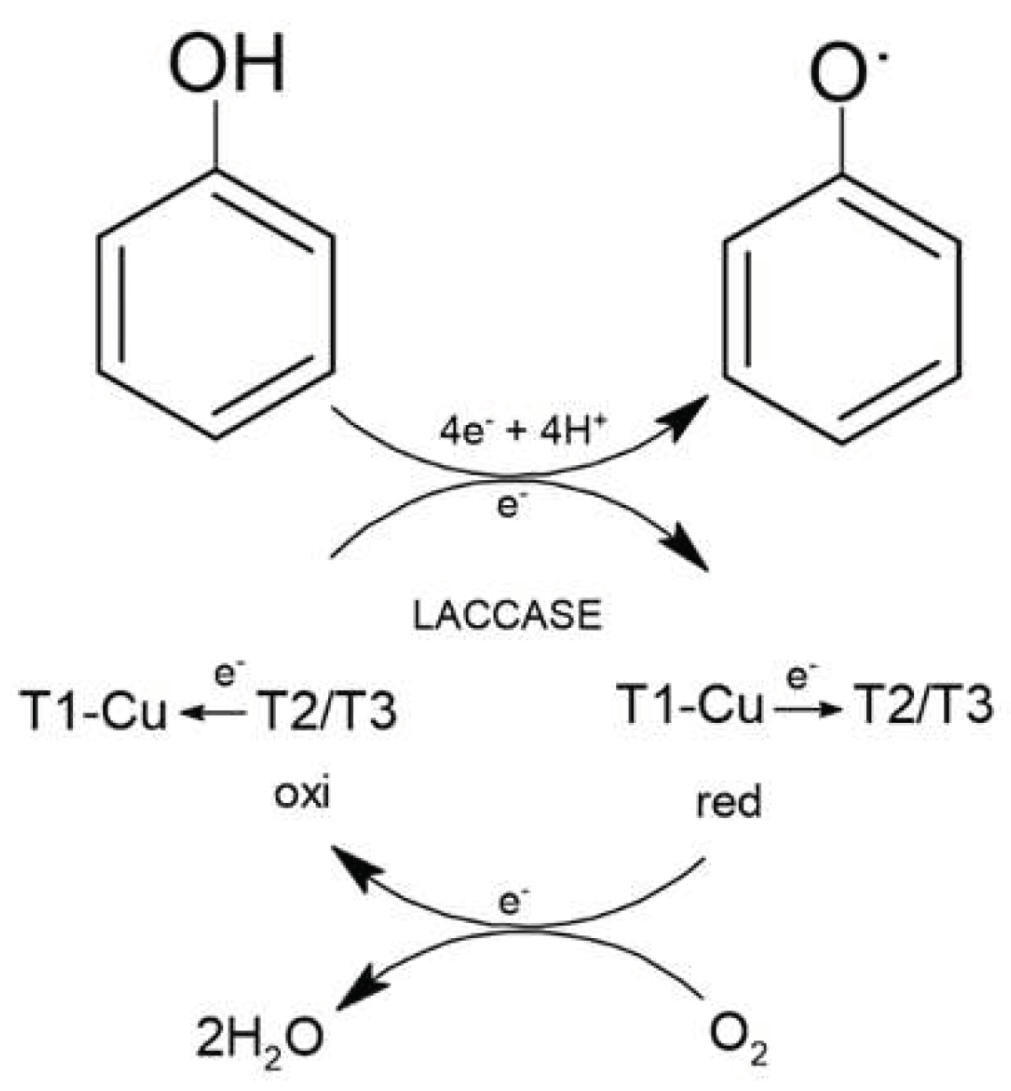 Preprints 98655 g010