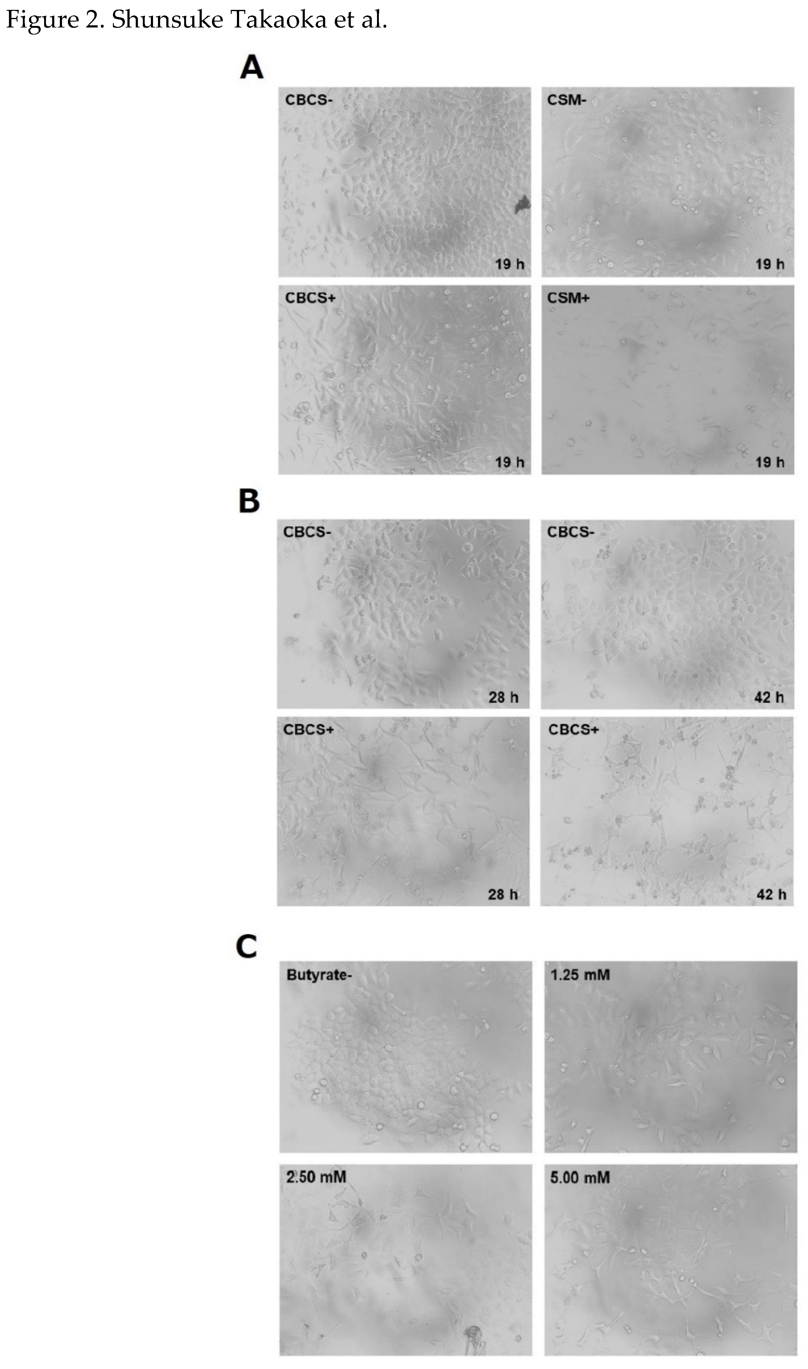 Preprints 120339 g002