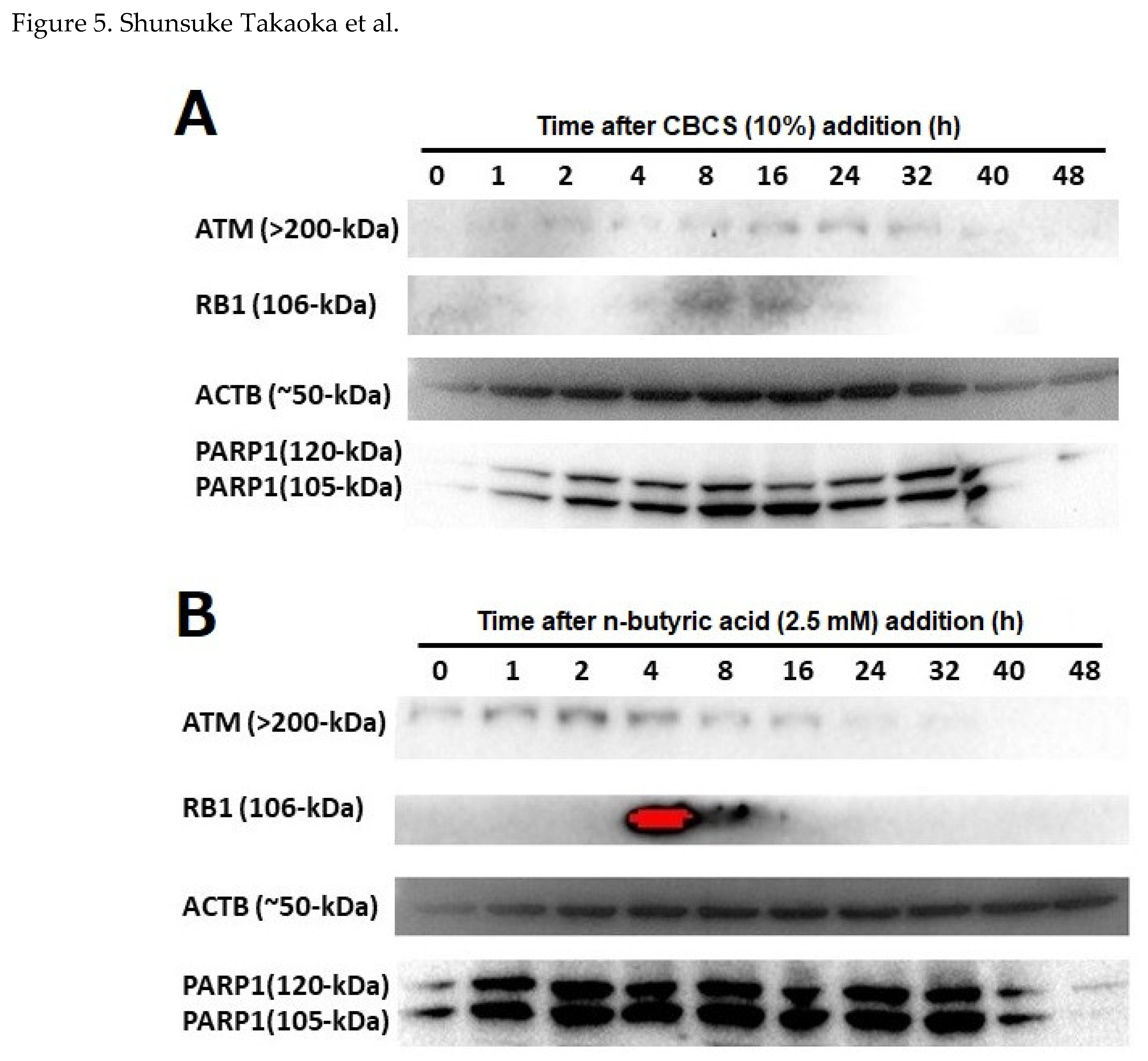 Preprints 120339 g005