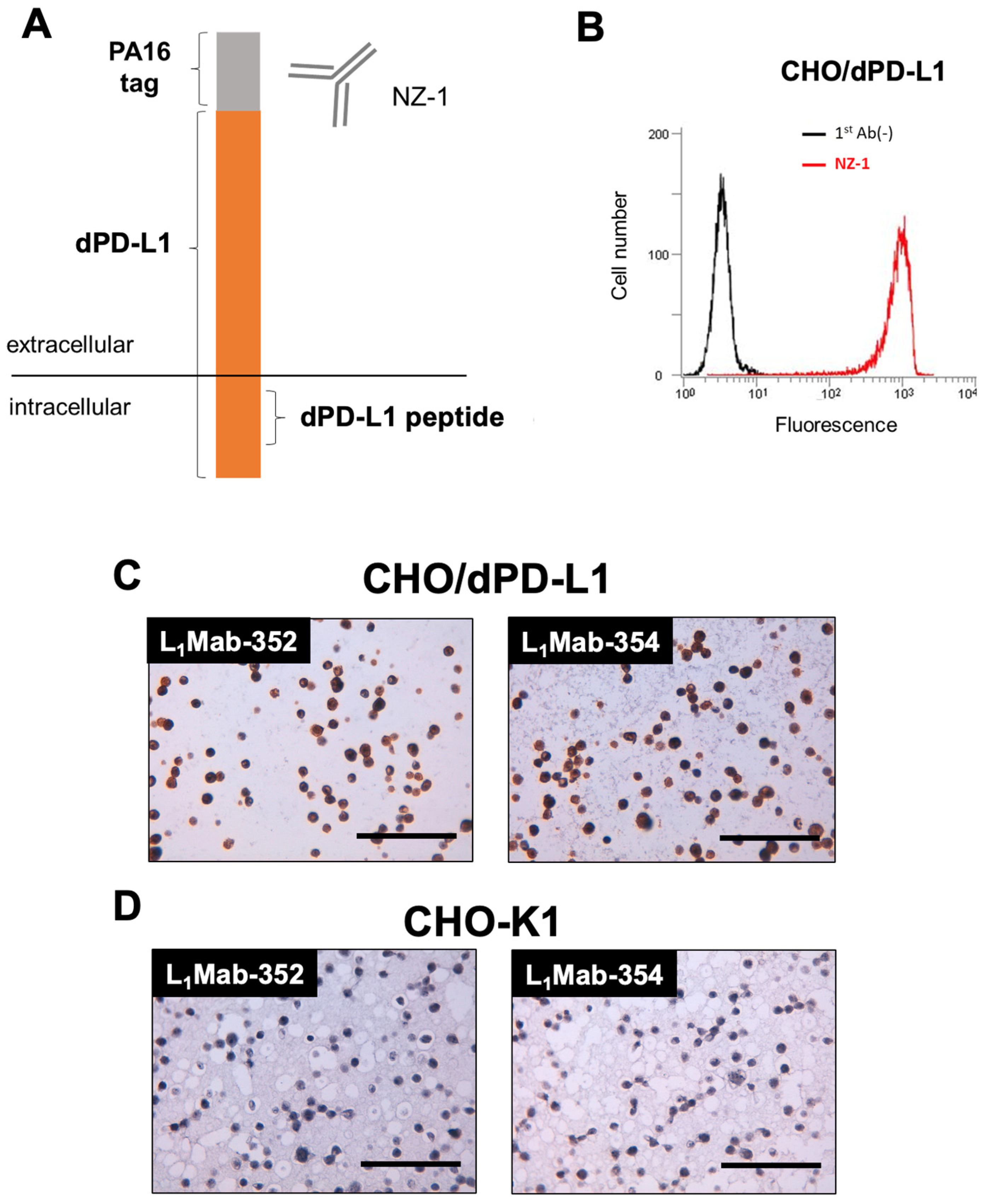 Preprints 81884 g003