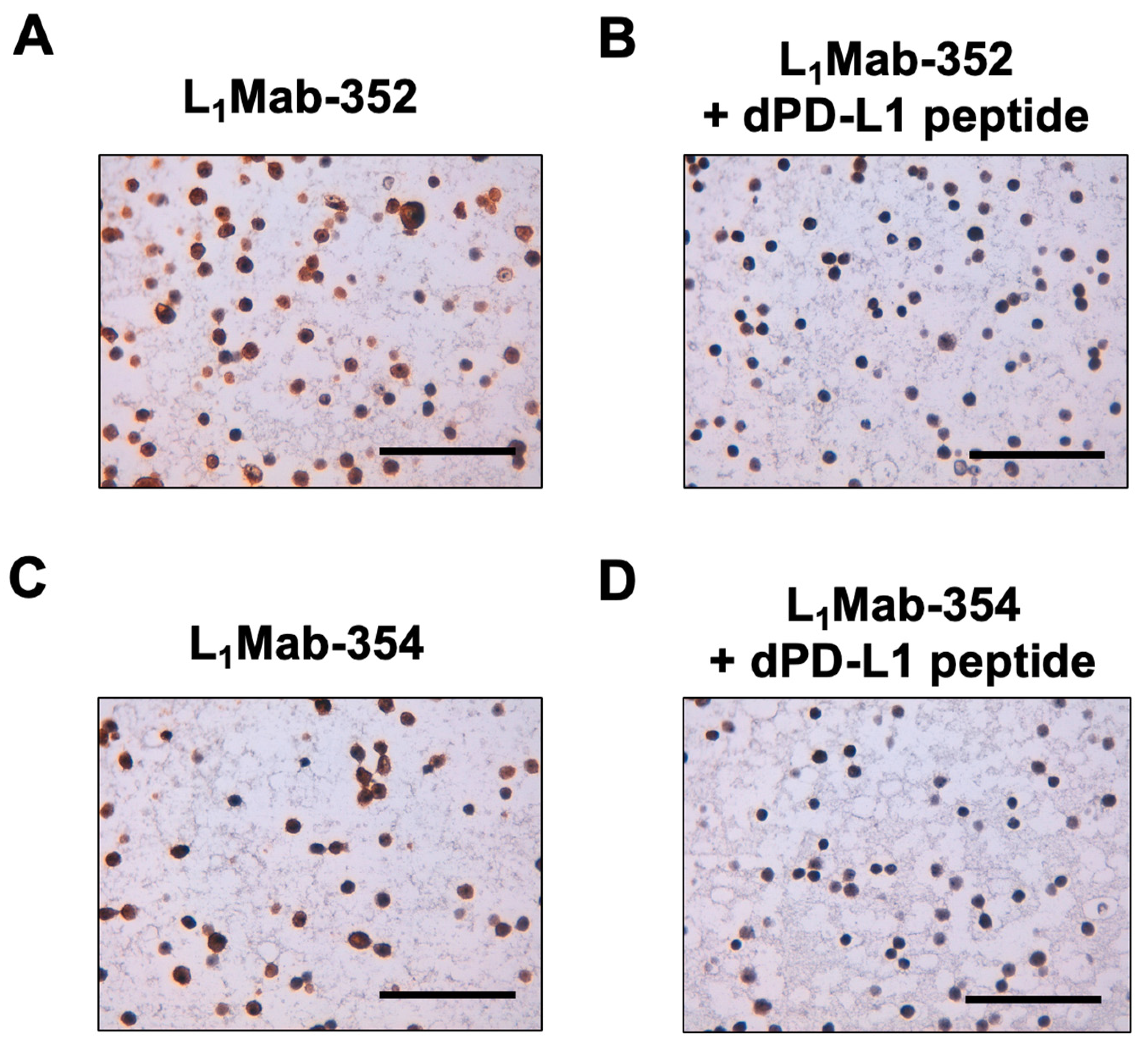 Preprints 81884 g004