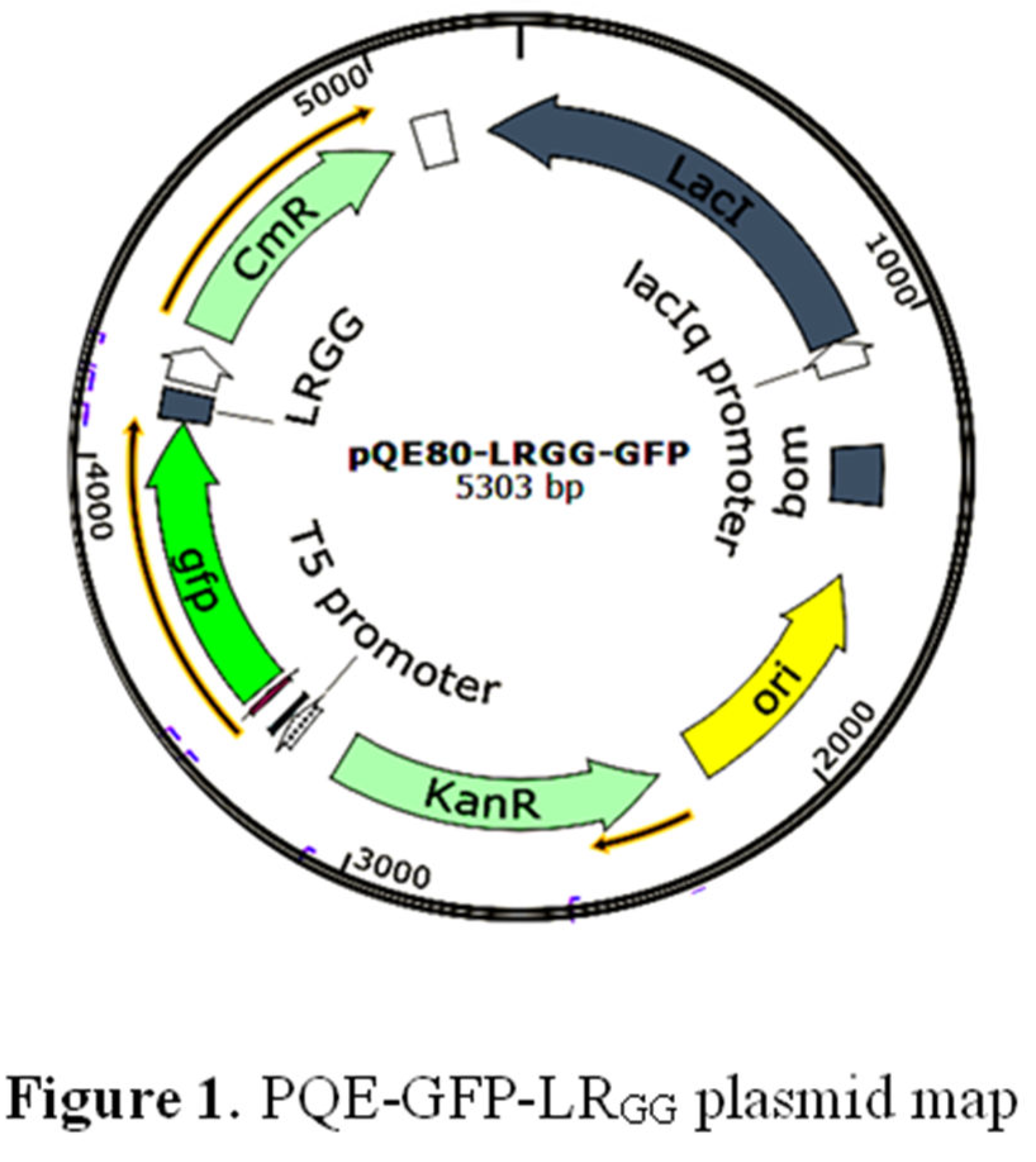 Preprints 107350 g001