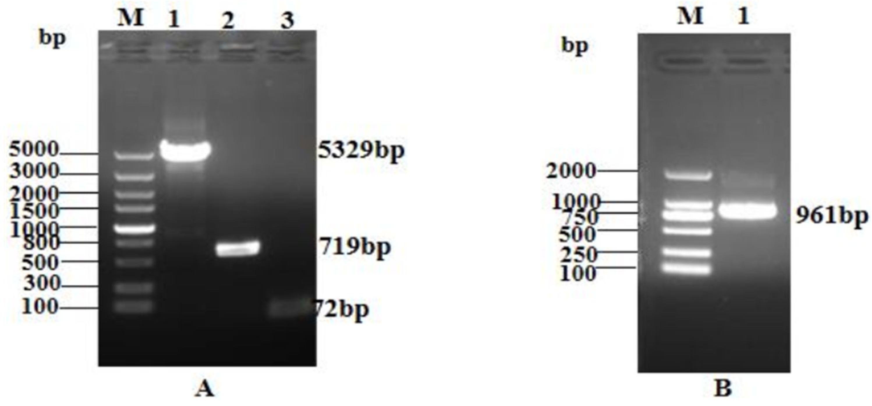 Preprints 107350 g002