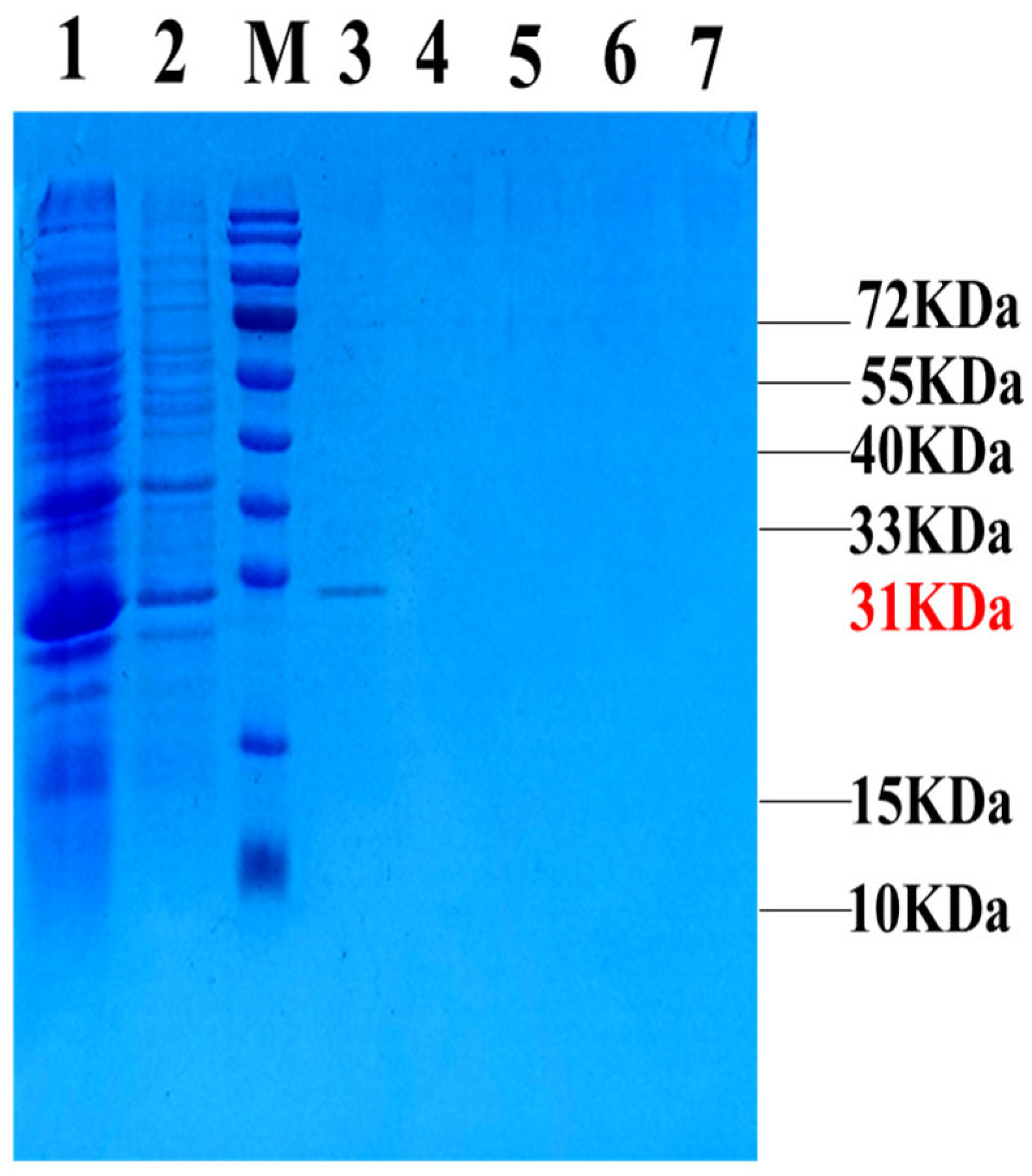 Preprints 107350 g003