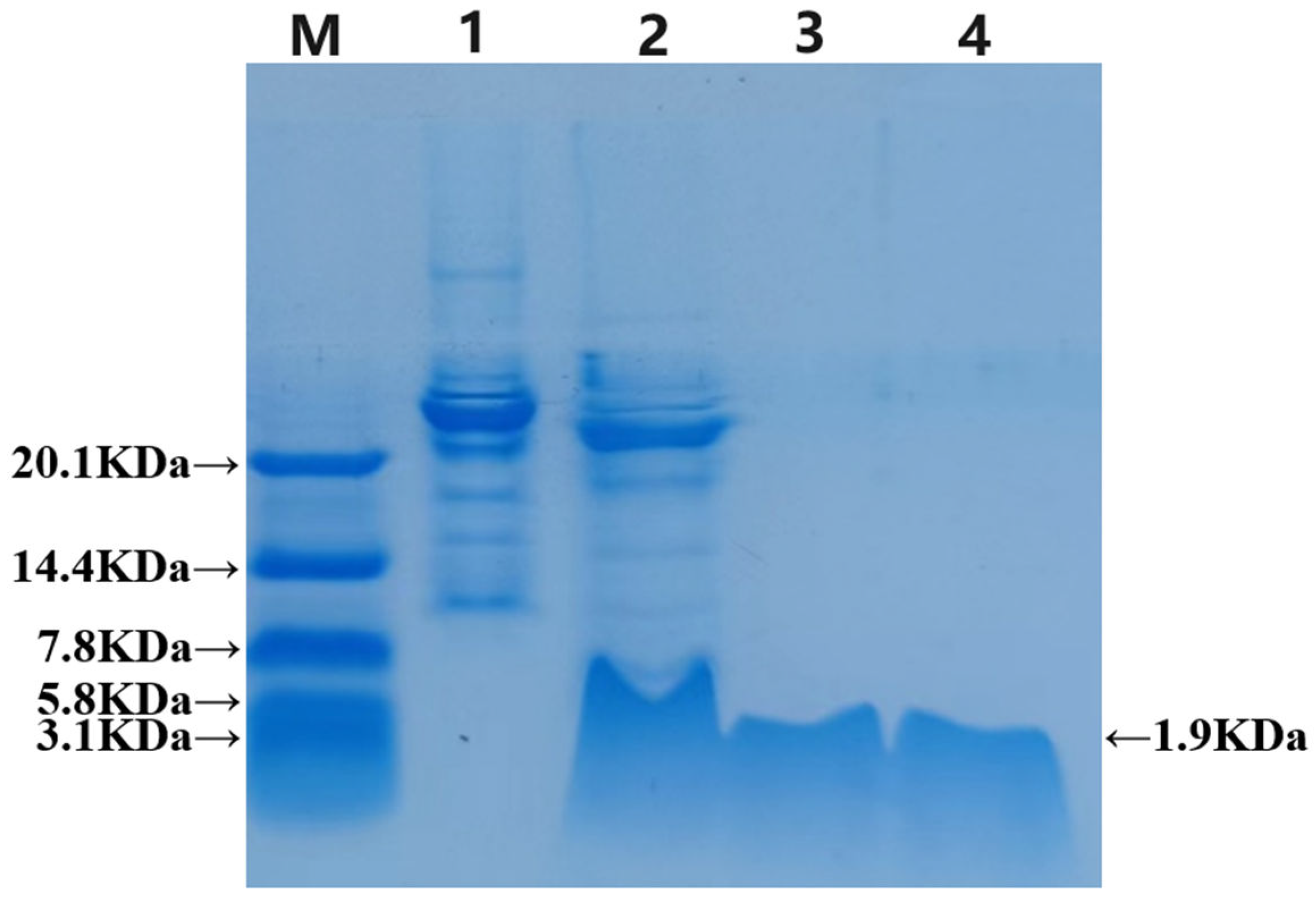 Preprints 107350 g004