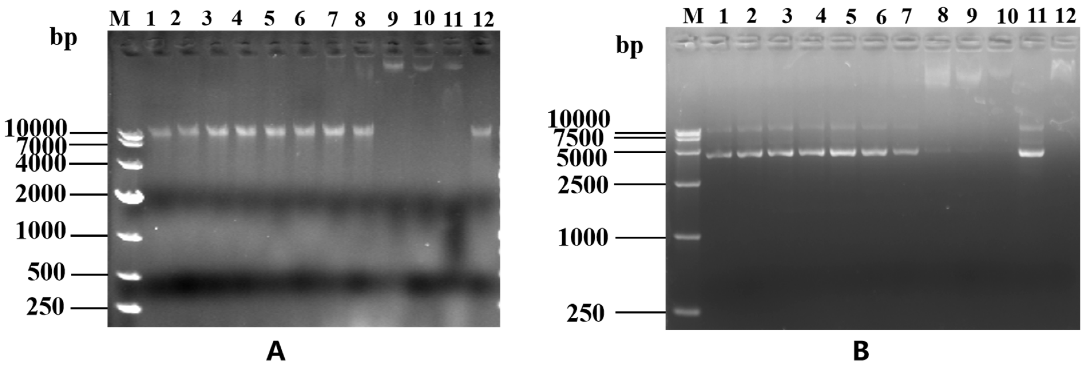 Preprints 107350 g010