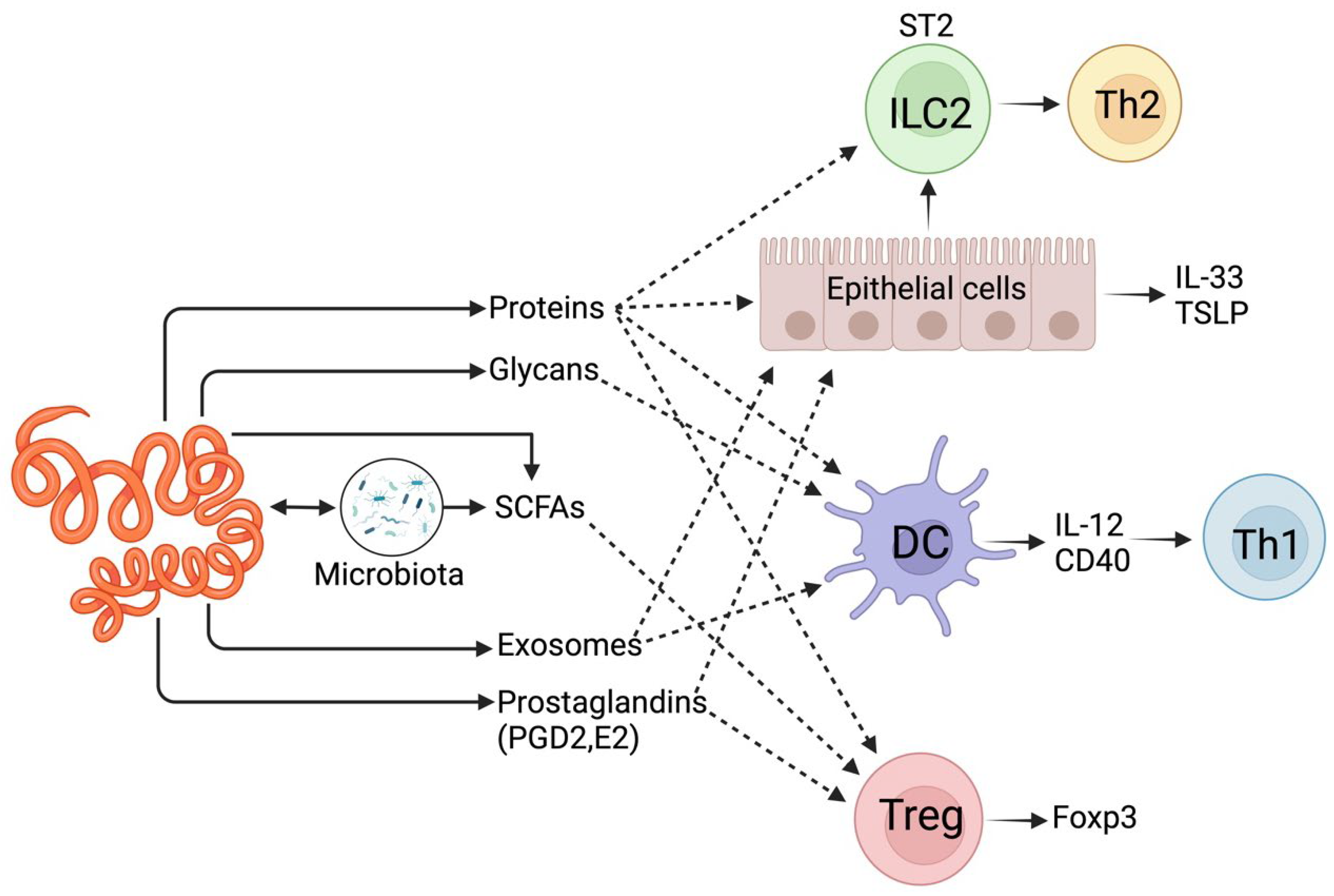 Preprints 117332 g001