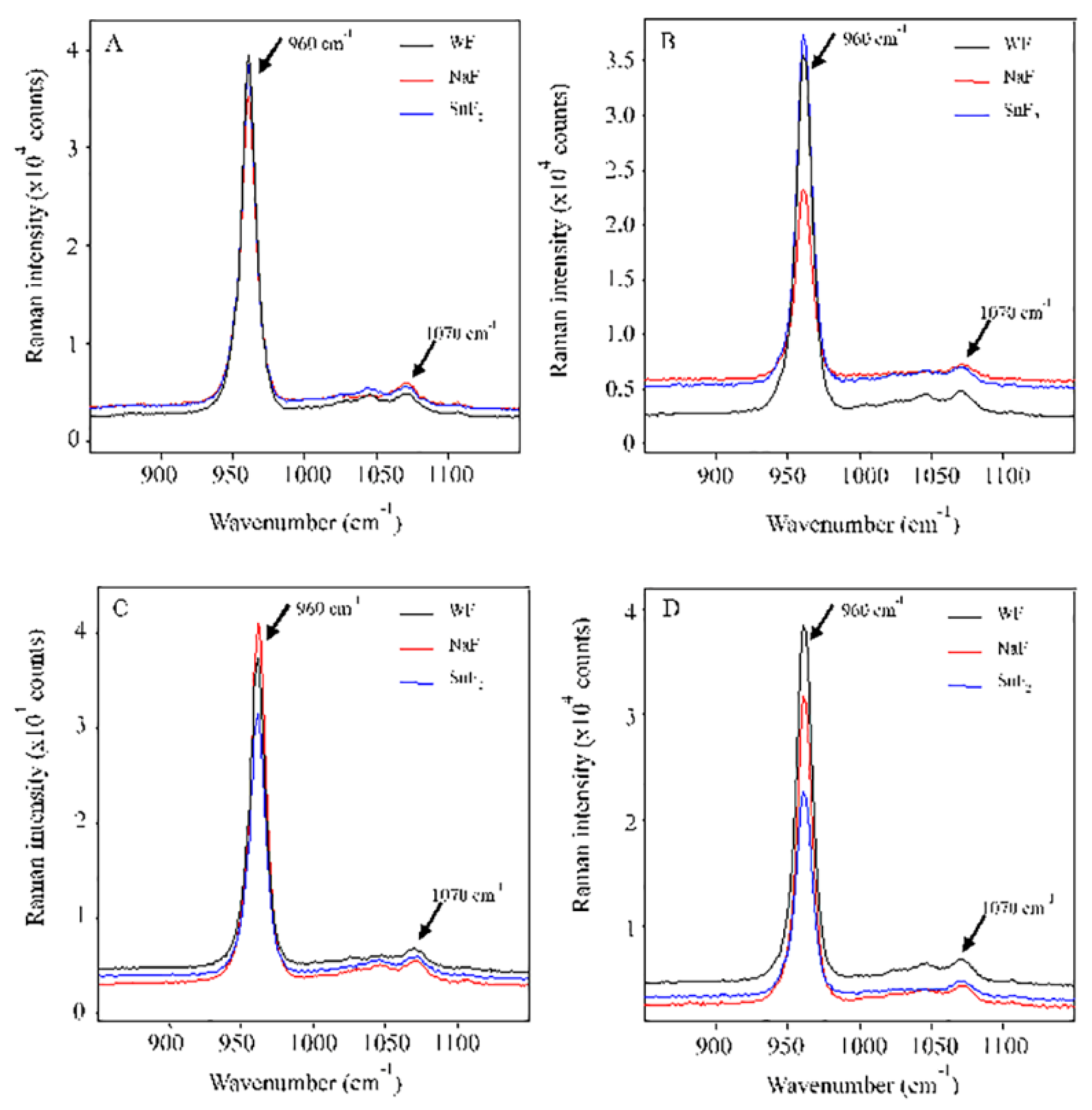 Preprints 72851 g002