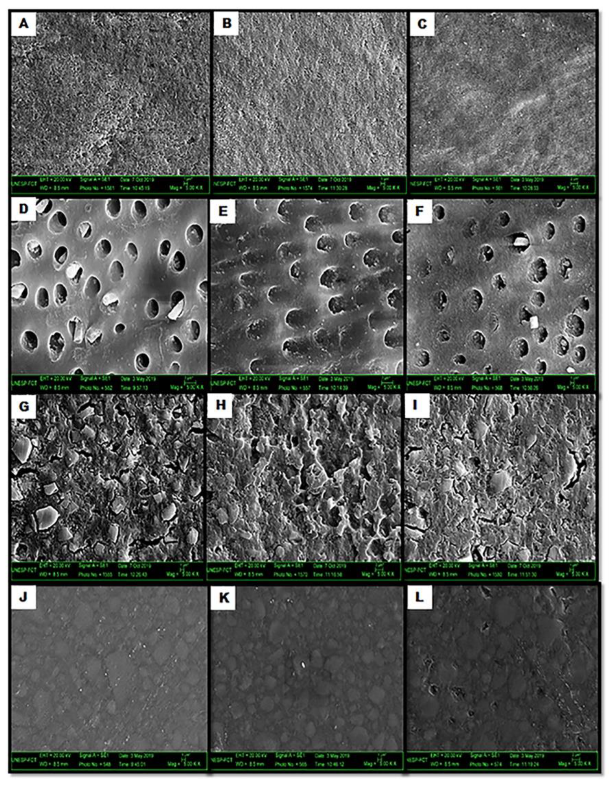 Preprints 72851 g004