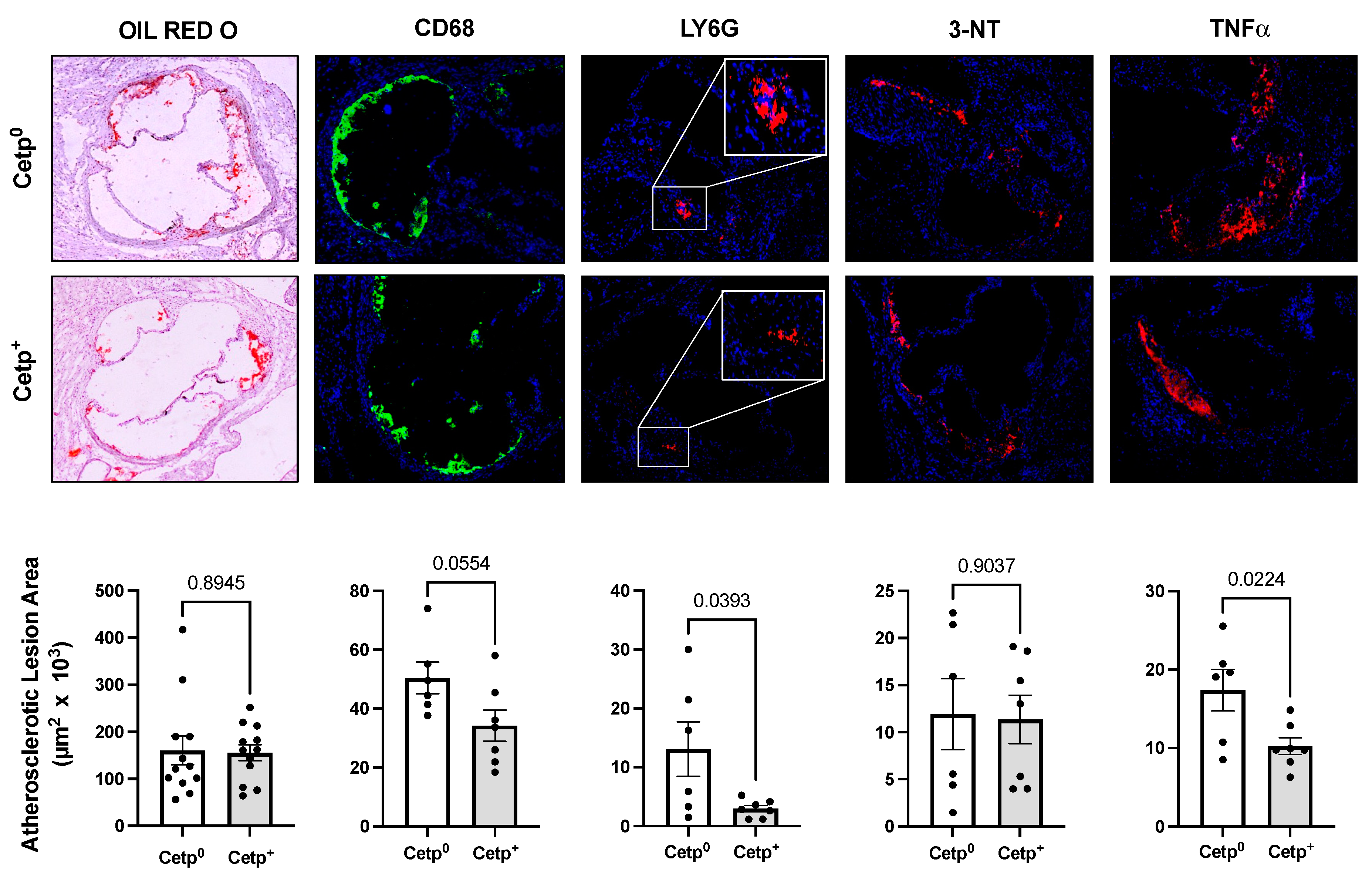 Preprints 80659 g001