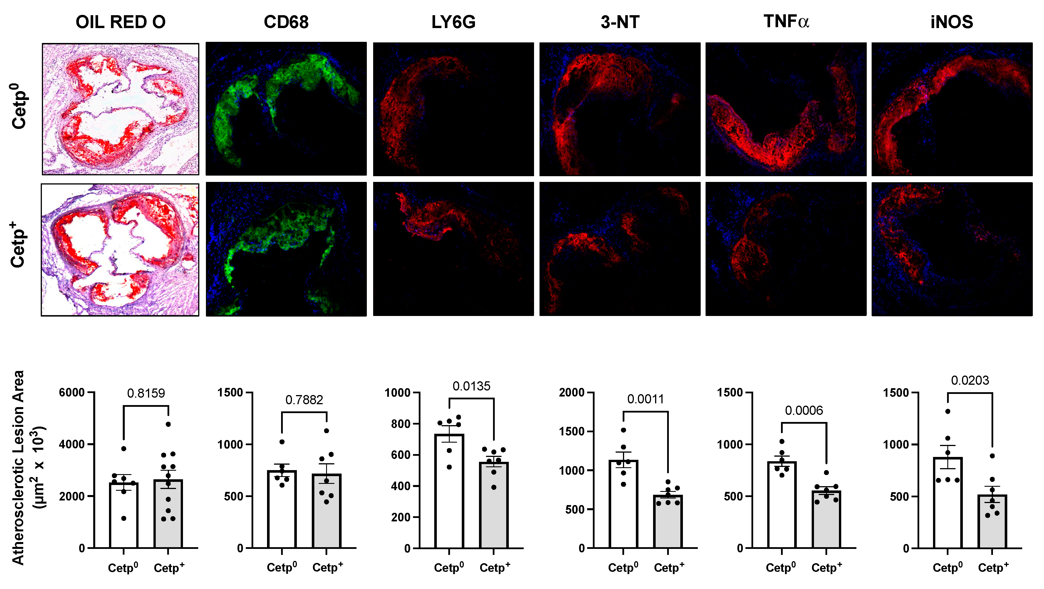 Preprints 80659 g002