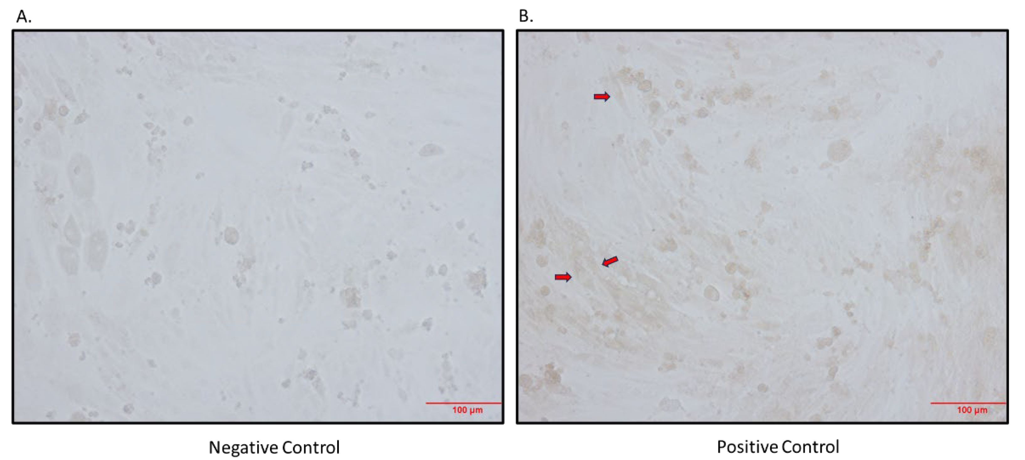 Preprints 108213 g001