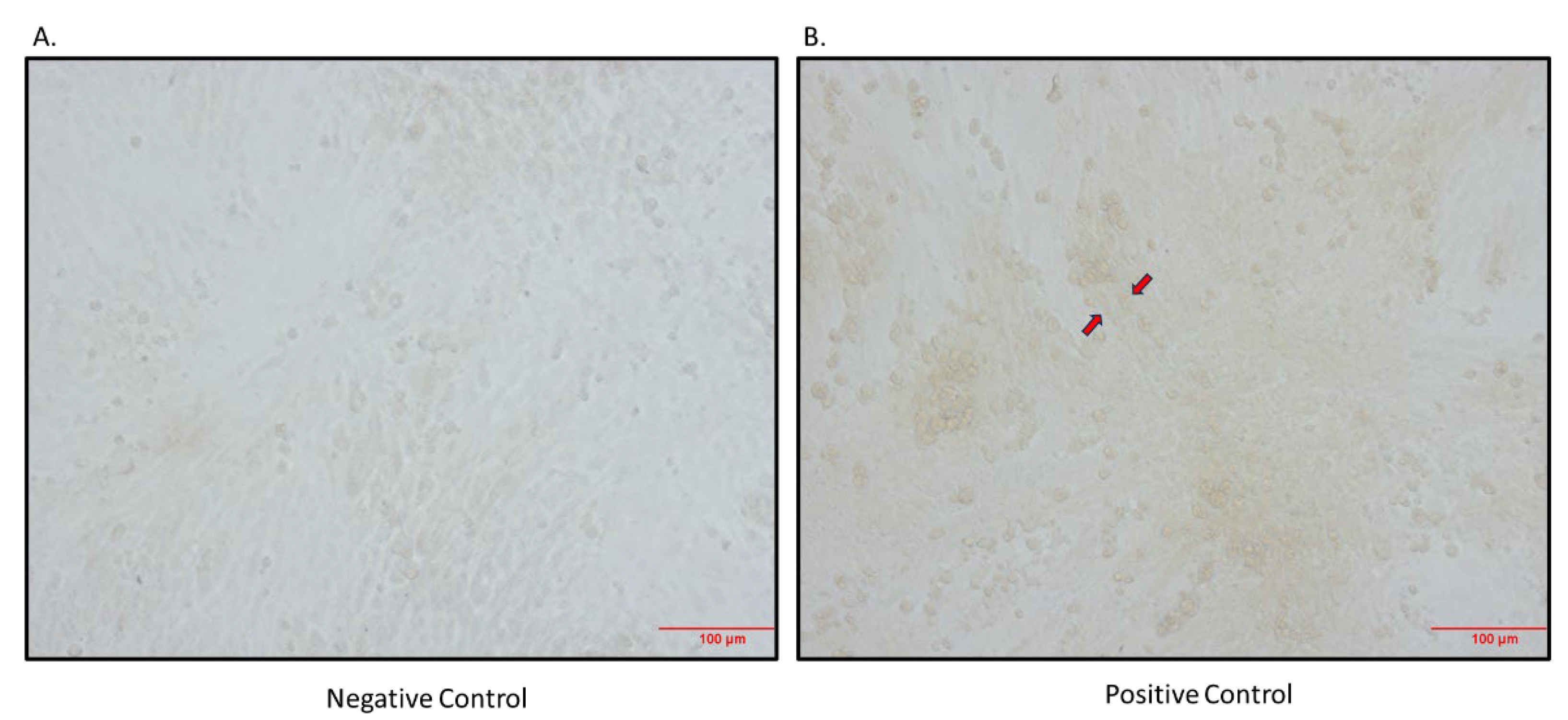 Preprints 108213 g003