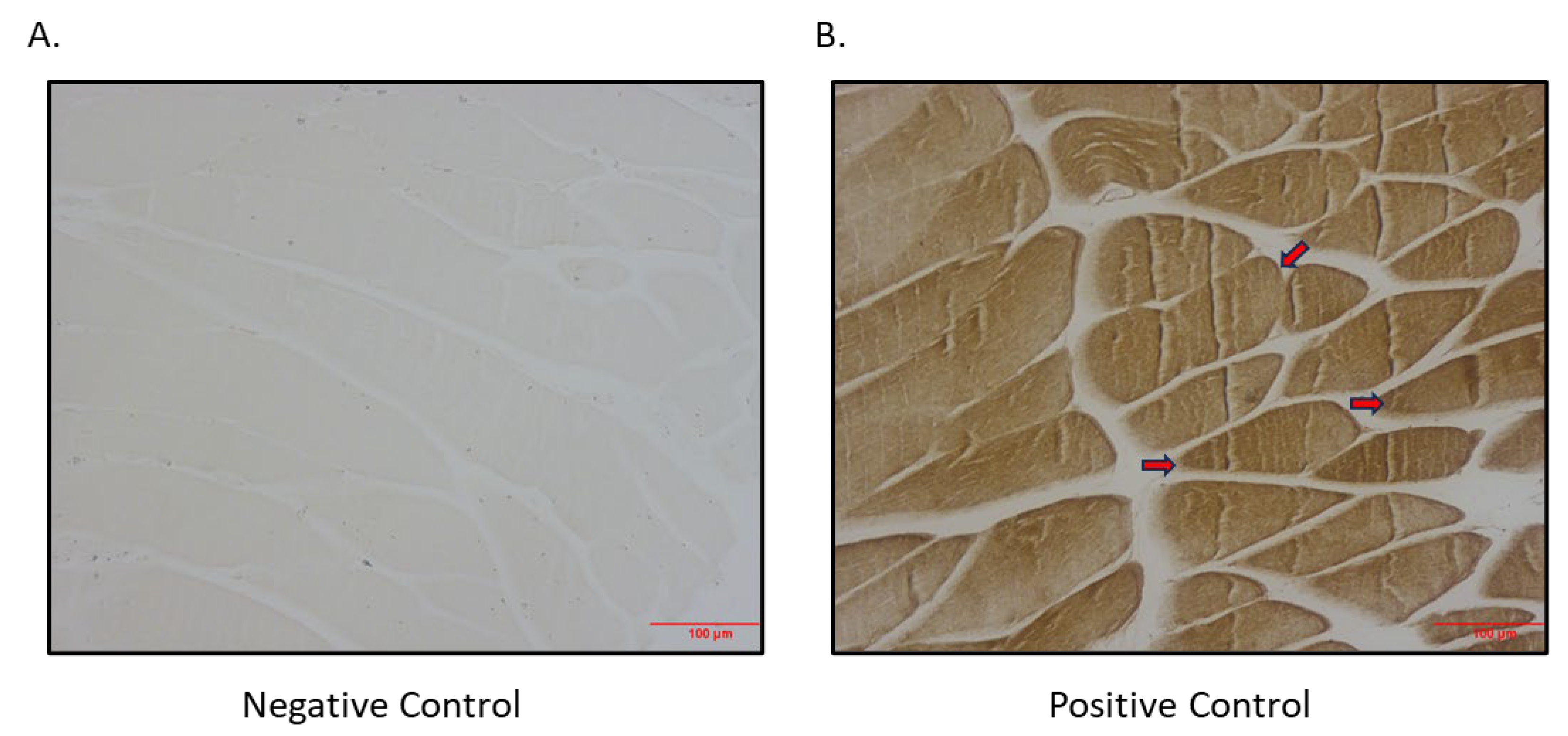 Preprints 108213 g004