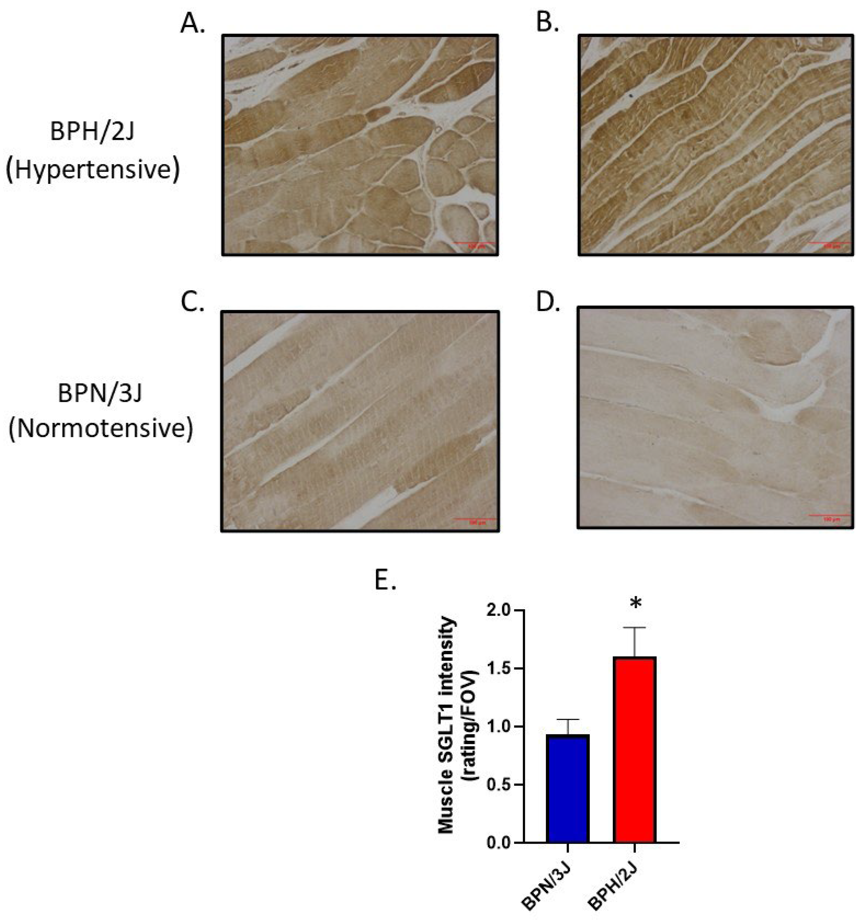 Preprints 108213 g009