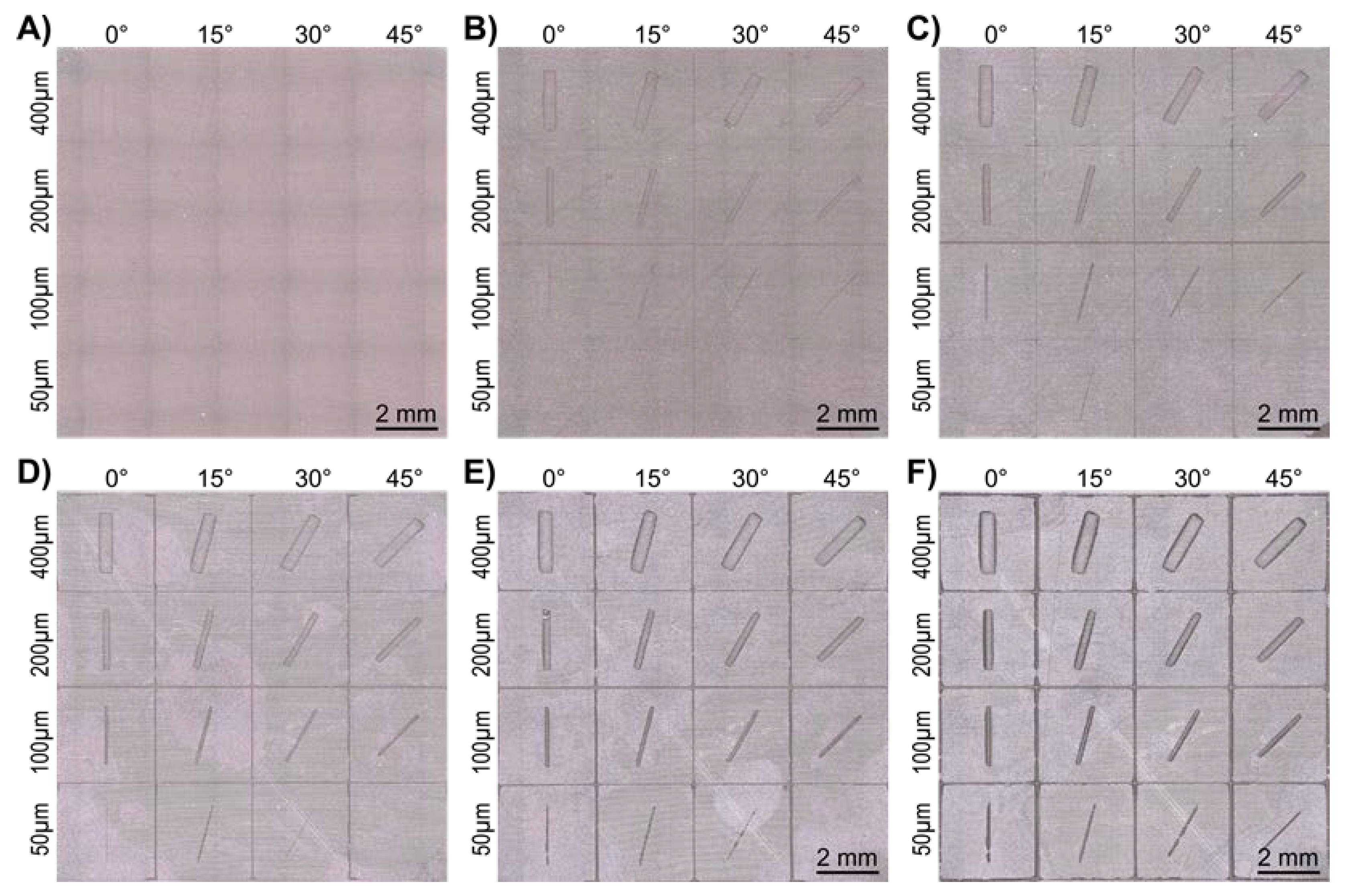 Preprints 102296 g005