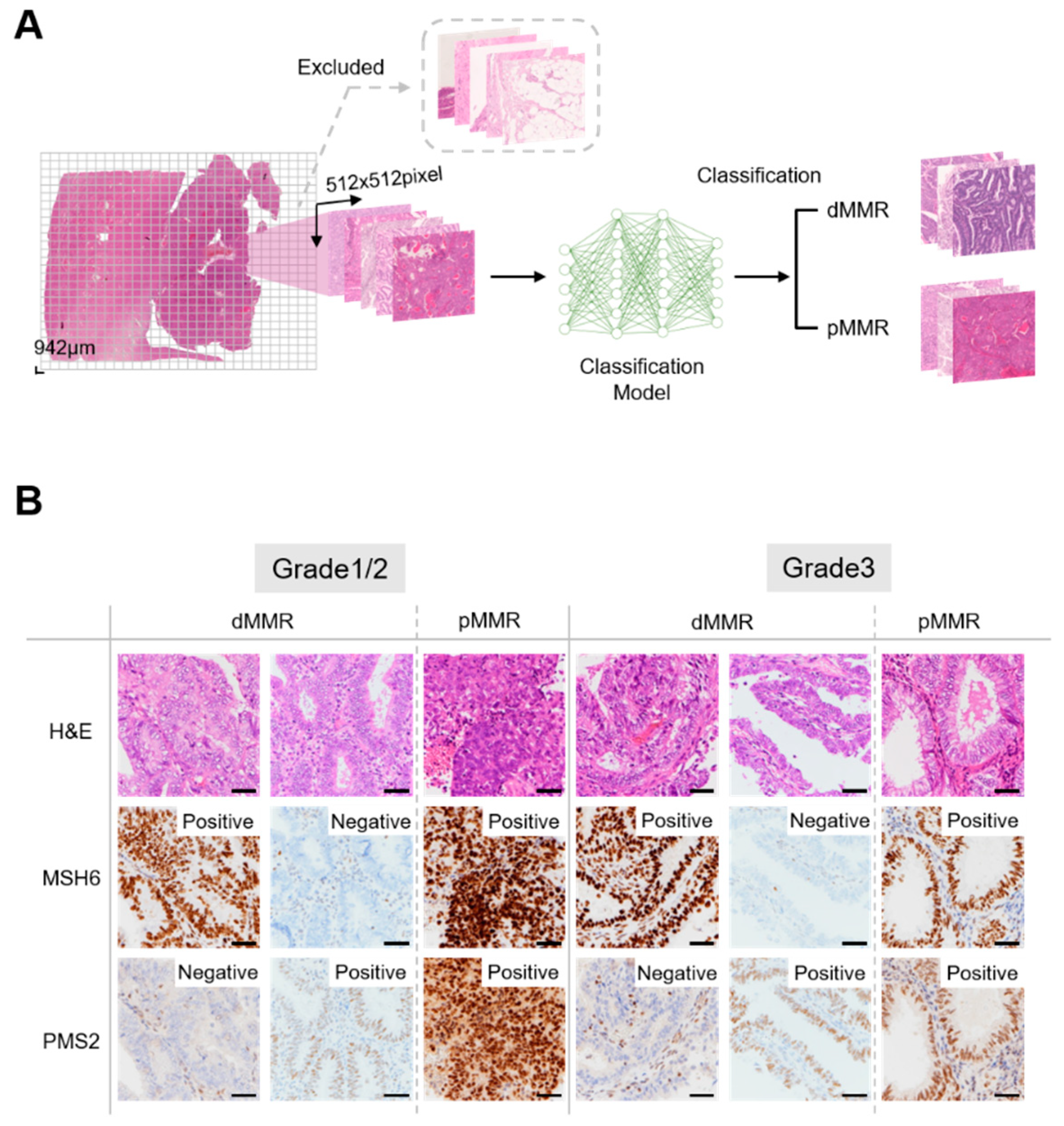 Preprints 100792 g002