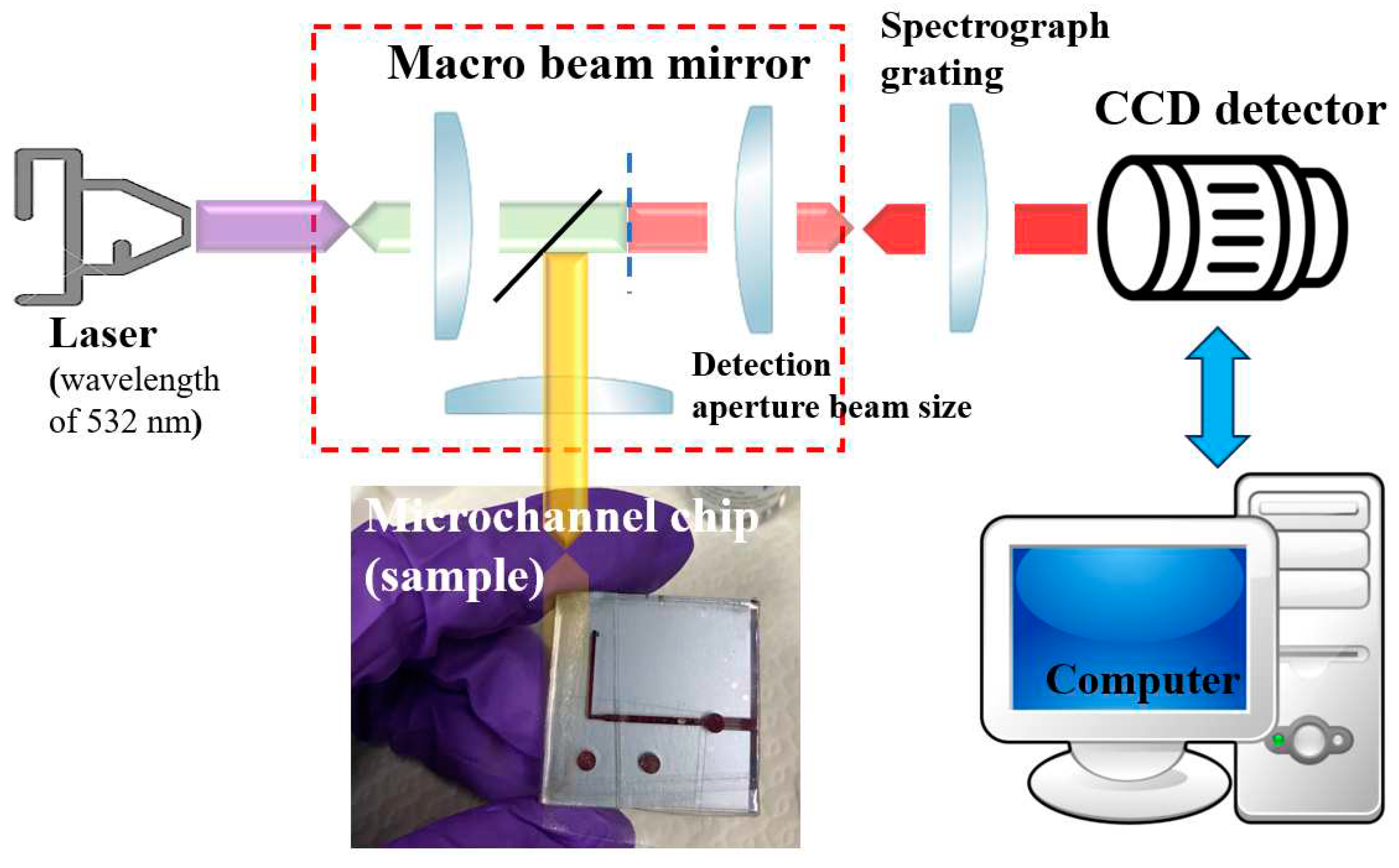 Preprints 90092 g003