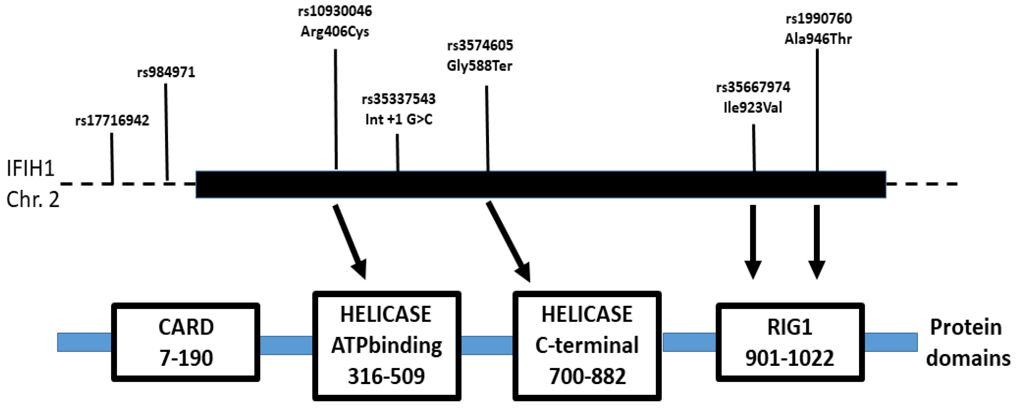 Preprints 75211 g002