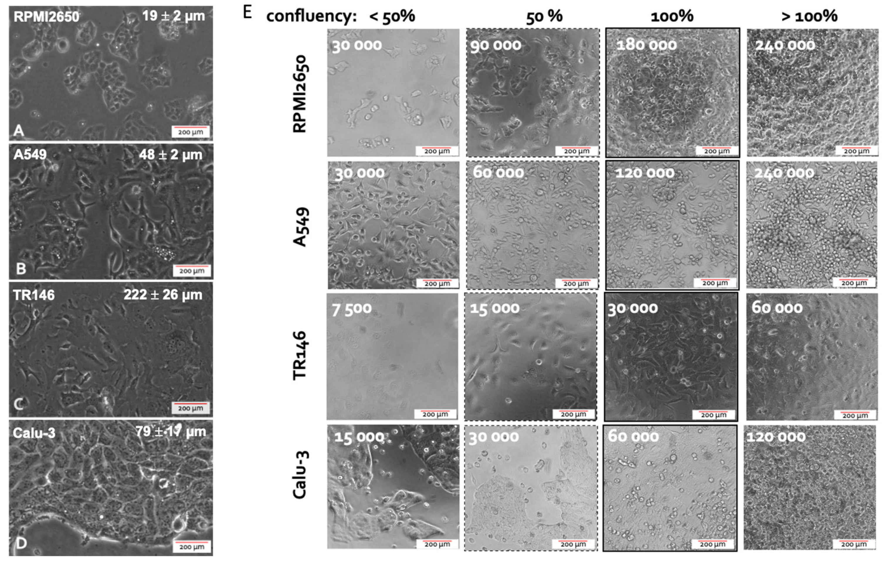 Preprints 67762 g001