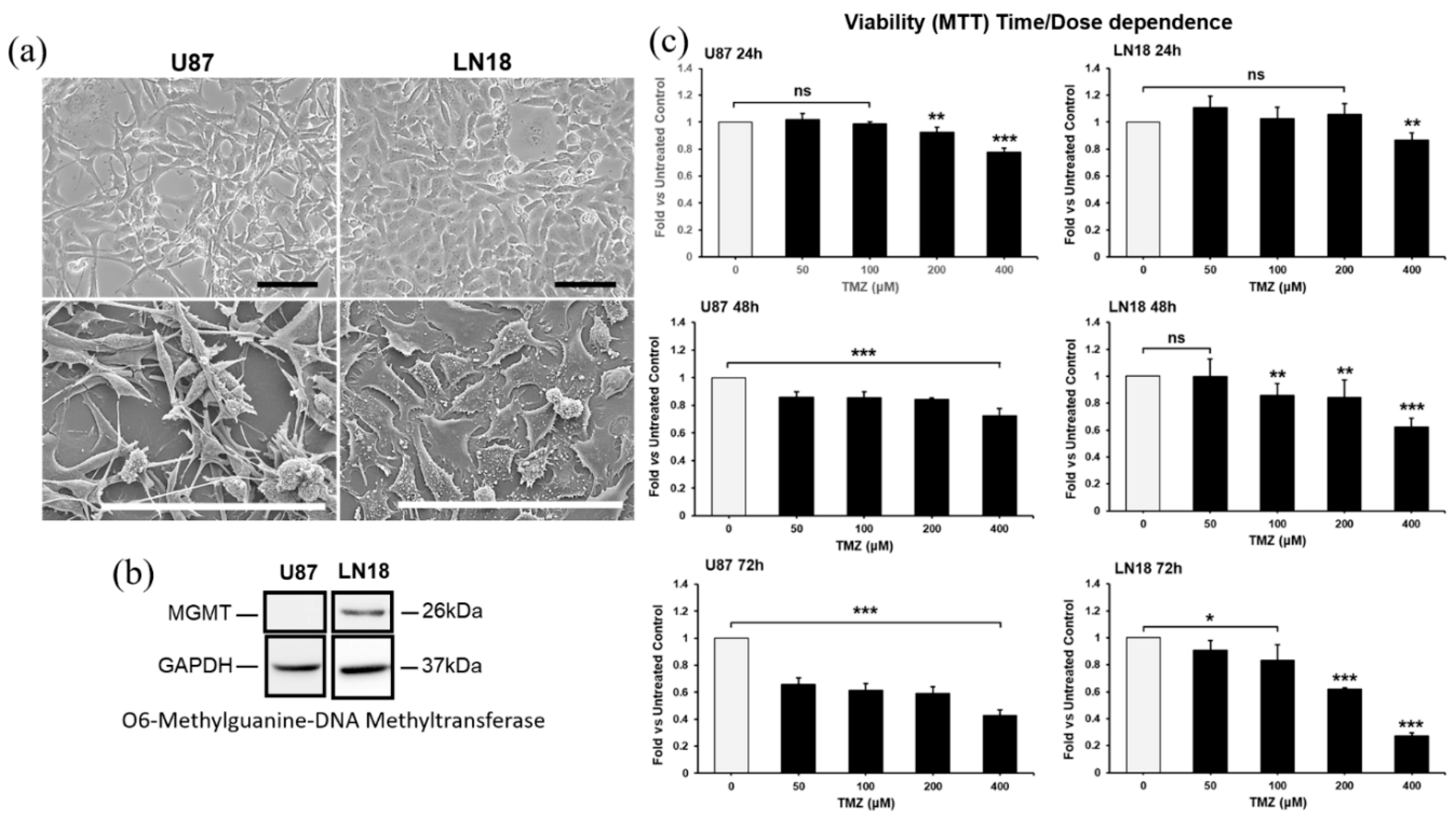 Preprints 114582 g001