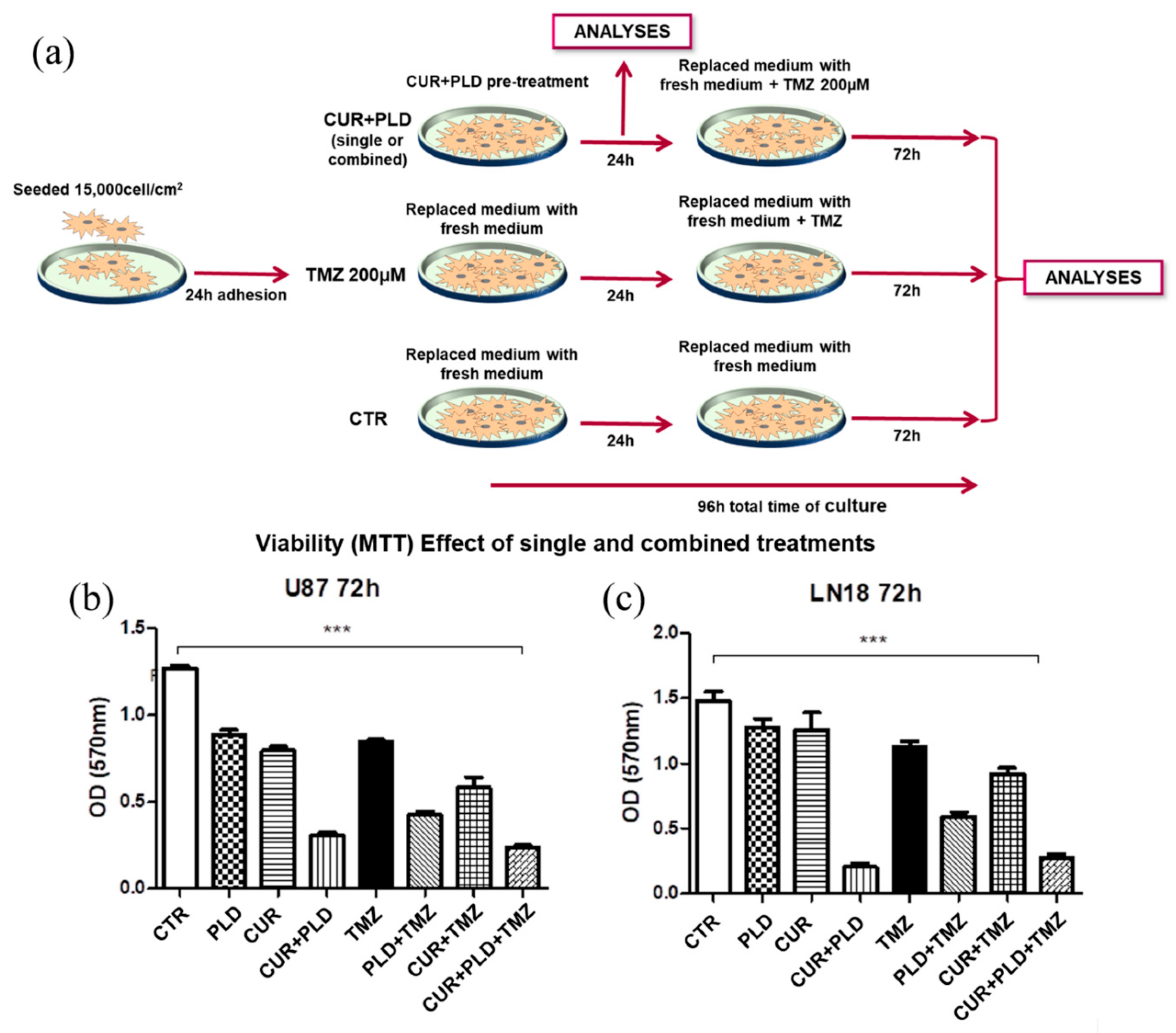 Preprints 114582 g002