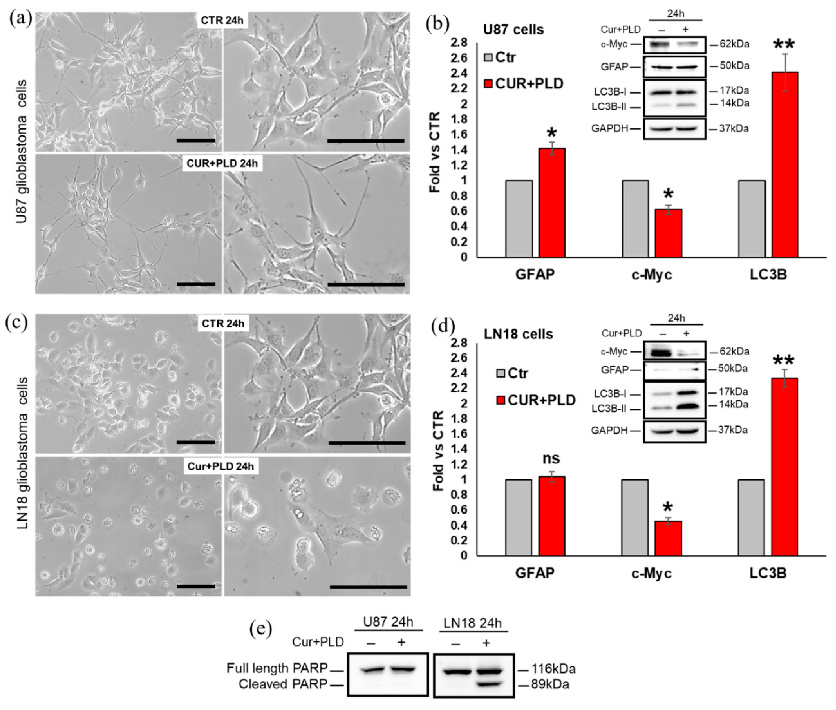 Preprints 114582 g003