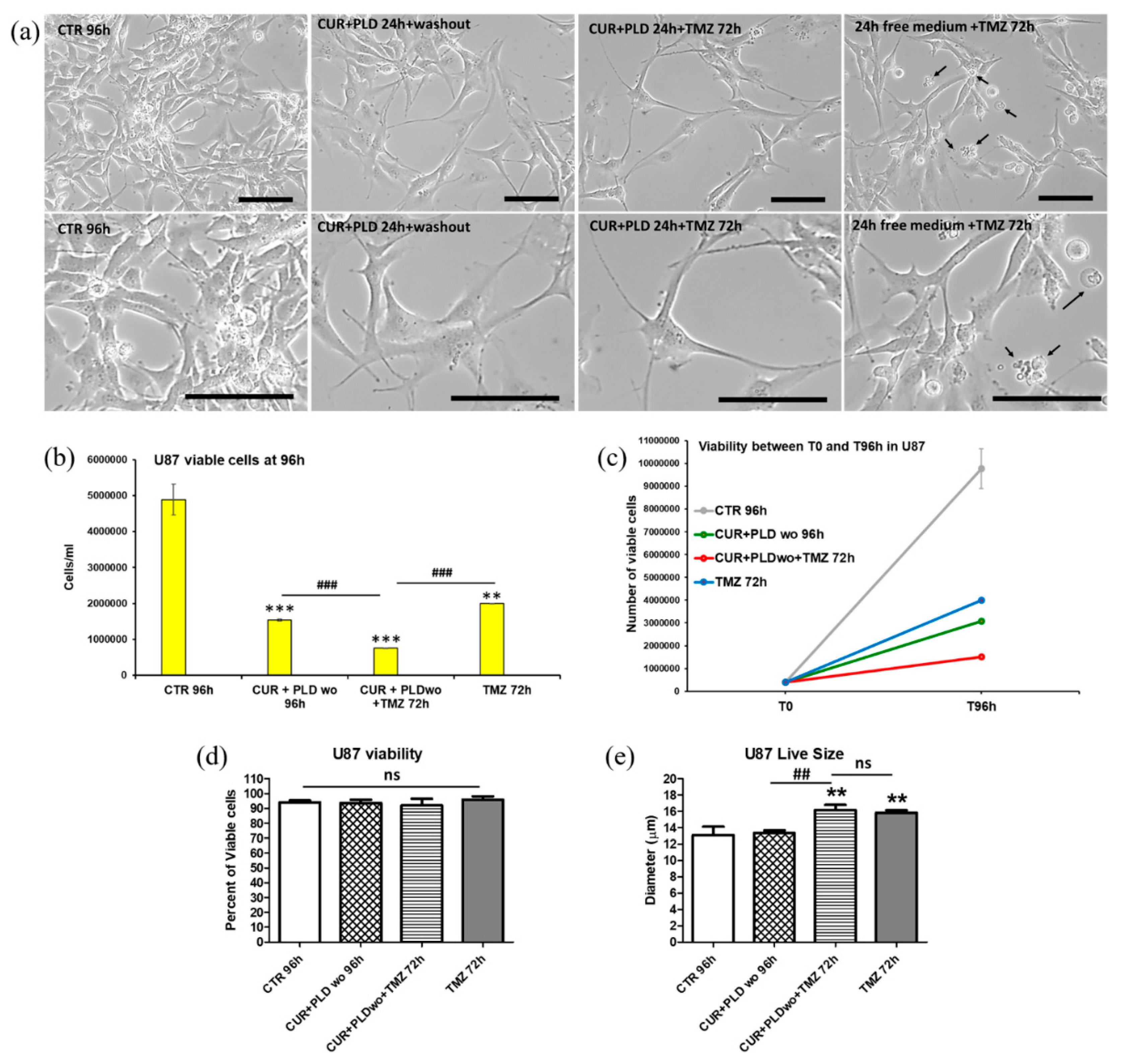 Preprints 114582 g004