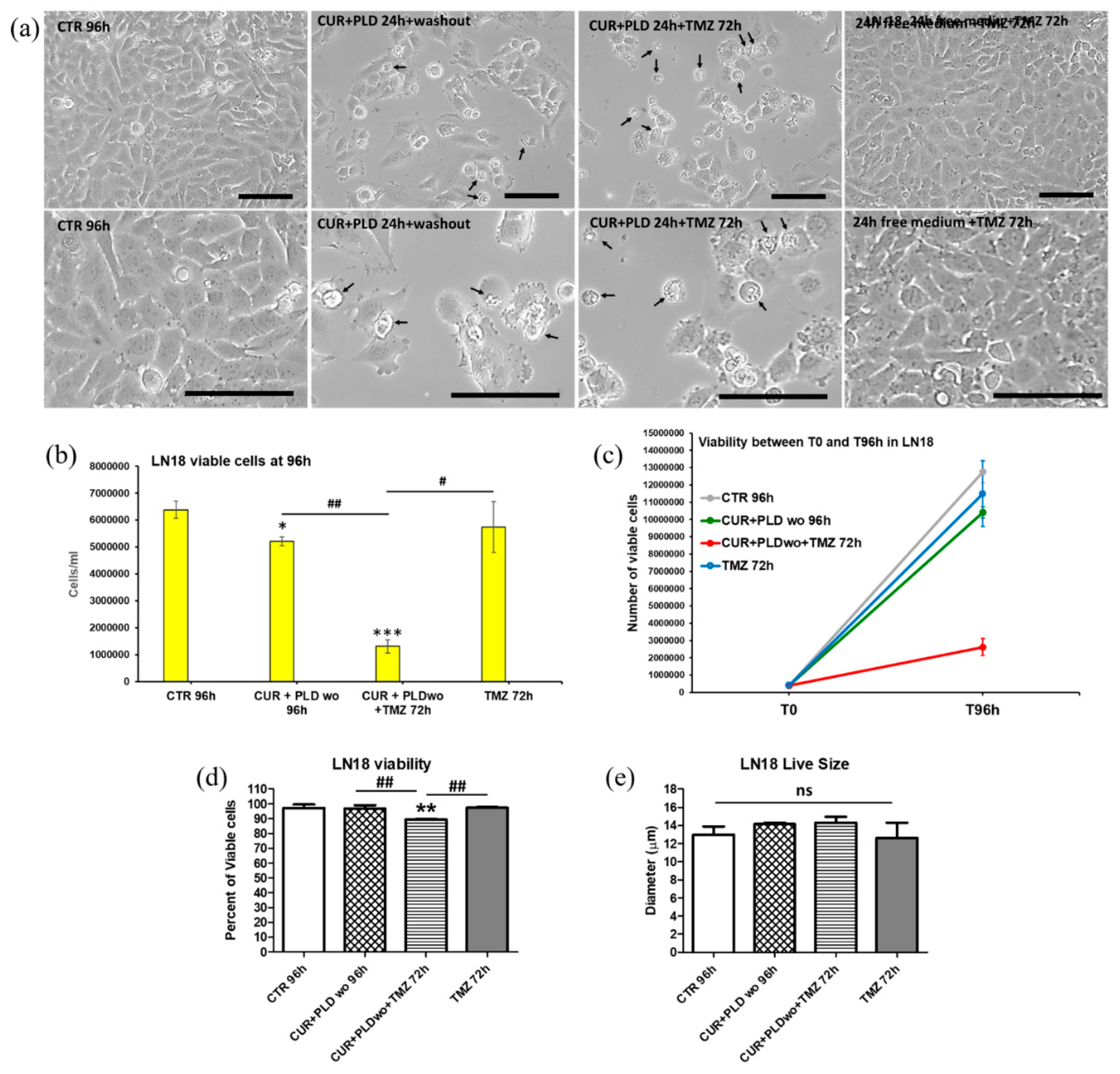 Preprints 114582 g005