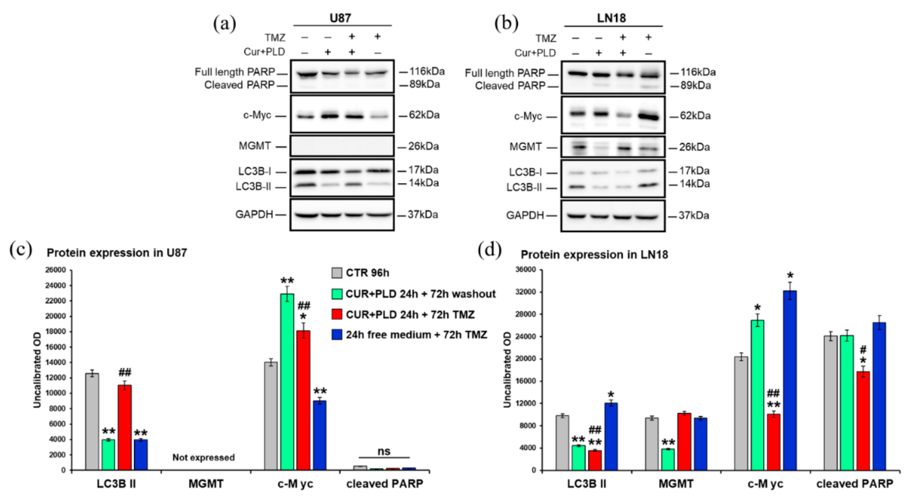 Preprints 114582 g007