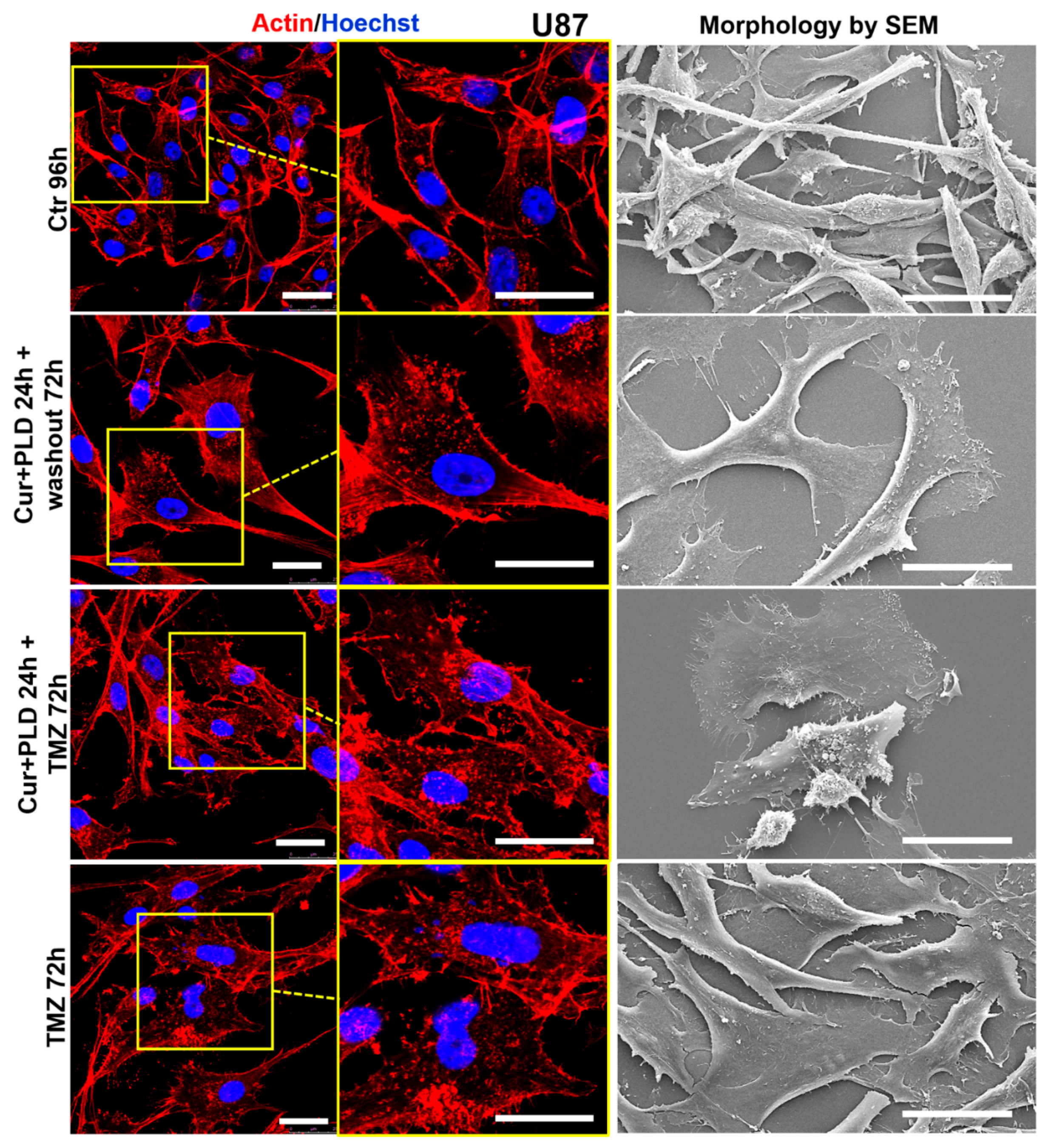 Preprints 114582 g008