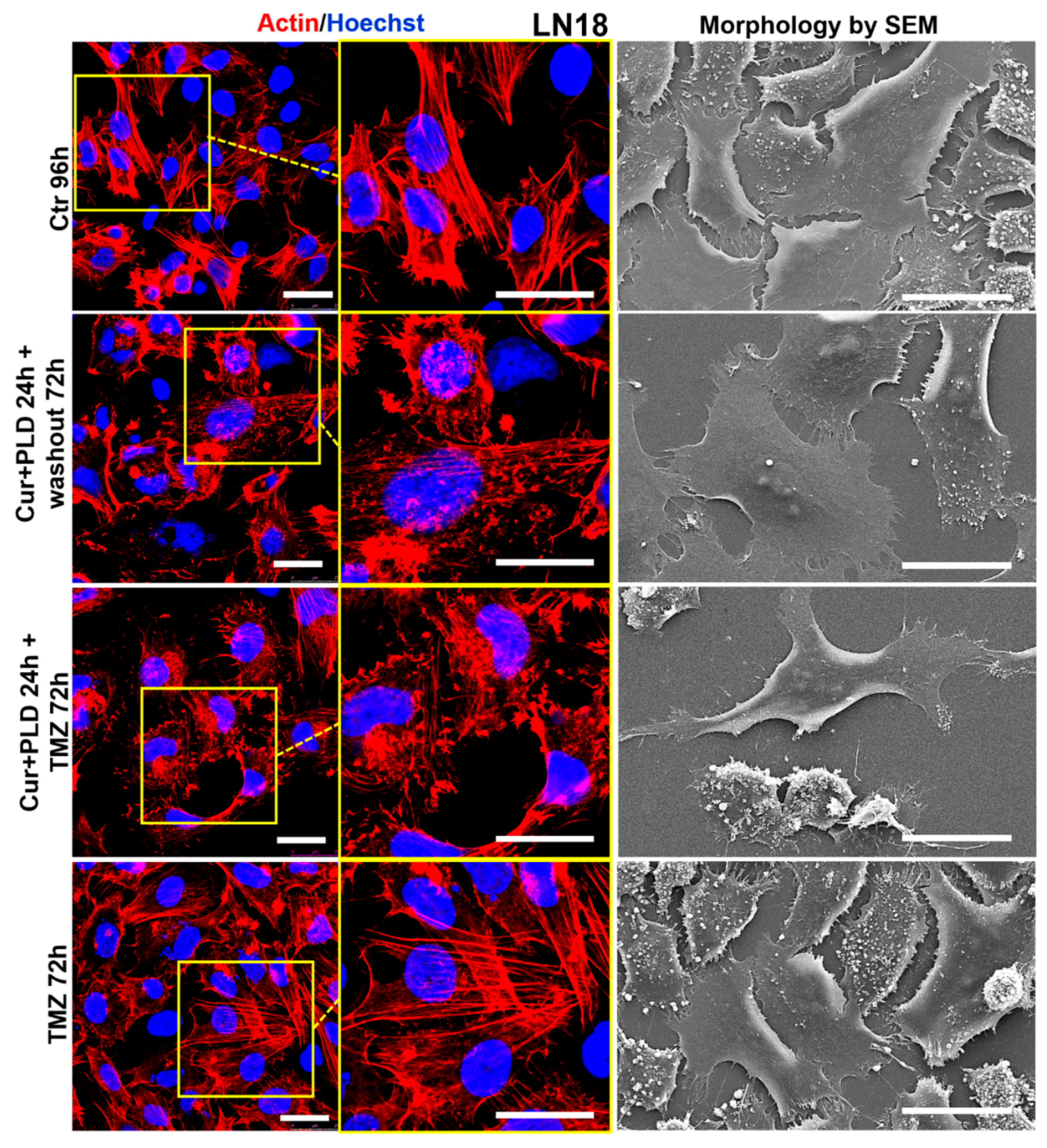 Preprints 114582 g009