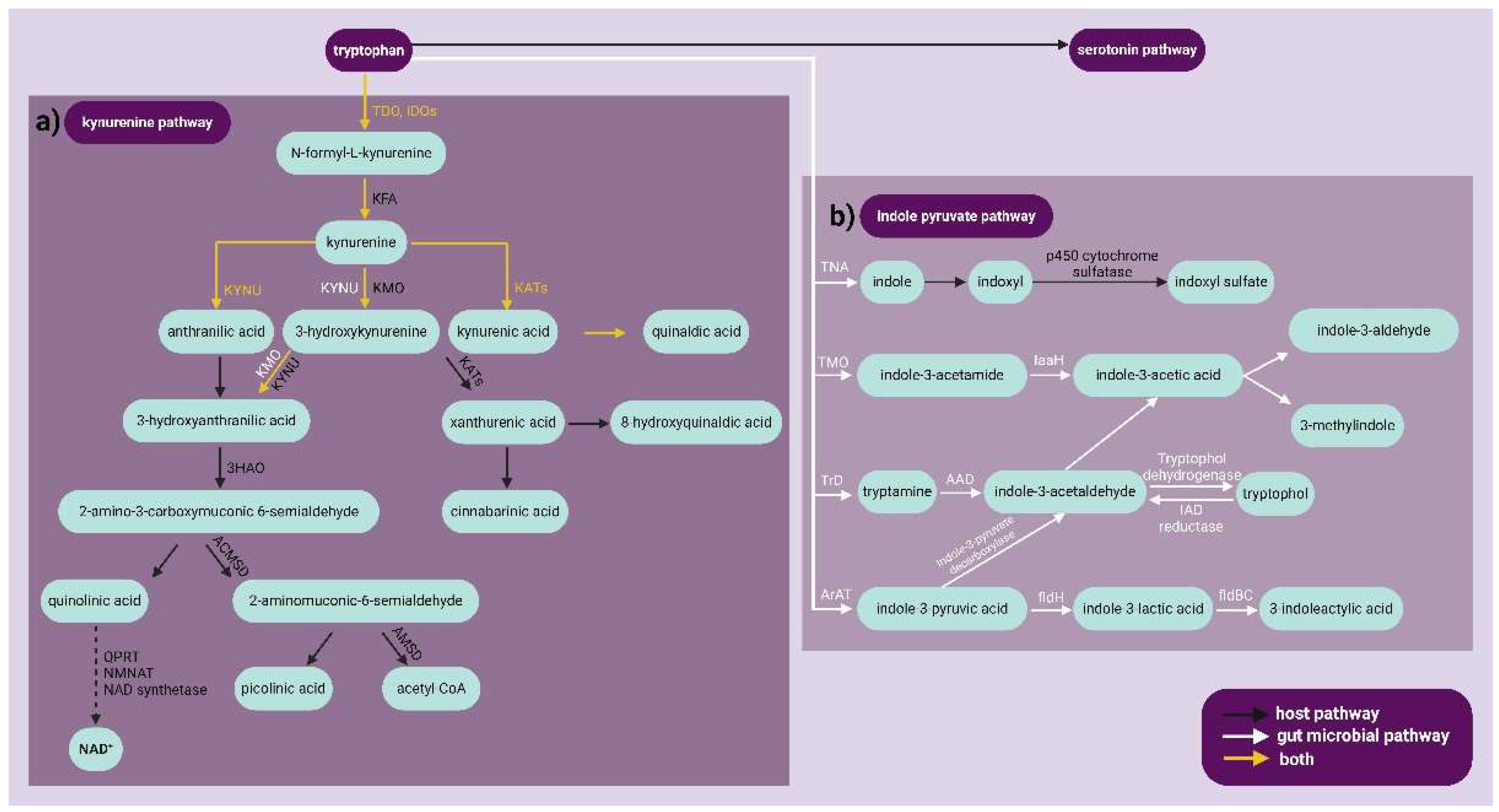 Preprints 121213 g001