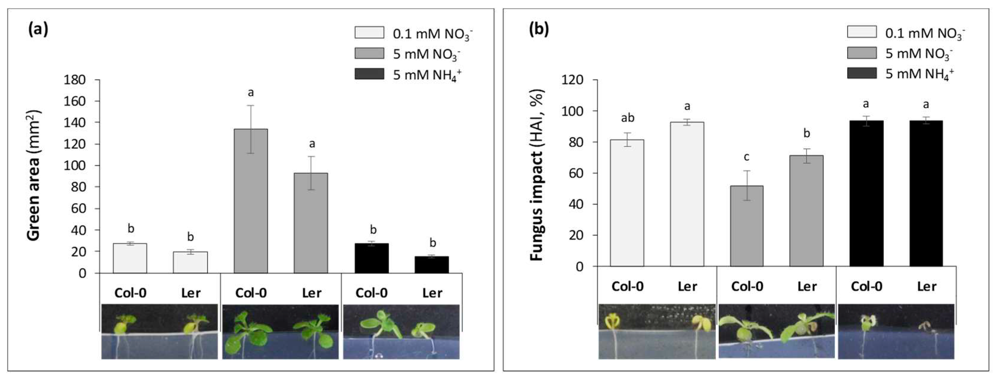 Preprints 96063 g002