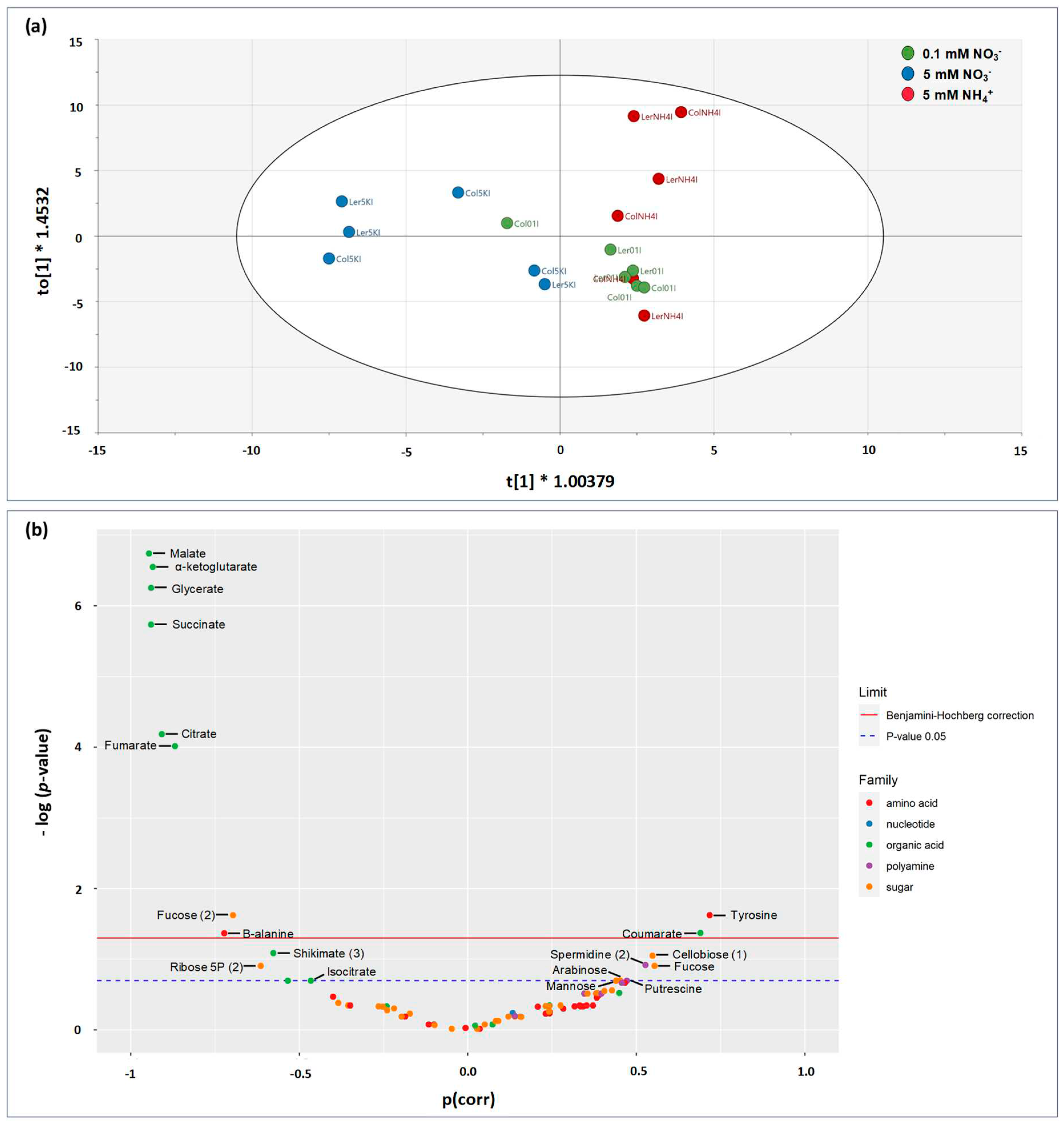 Preprints 96063 g006